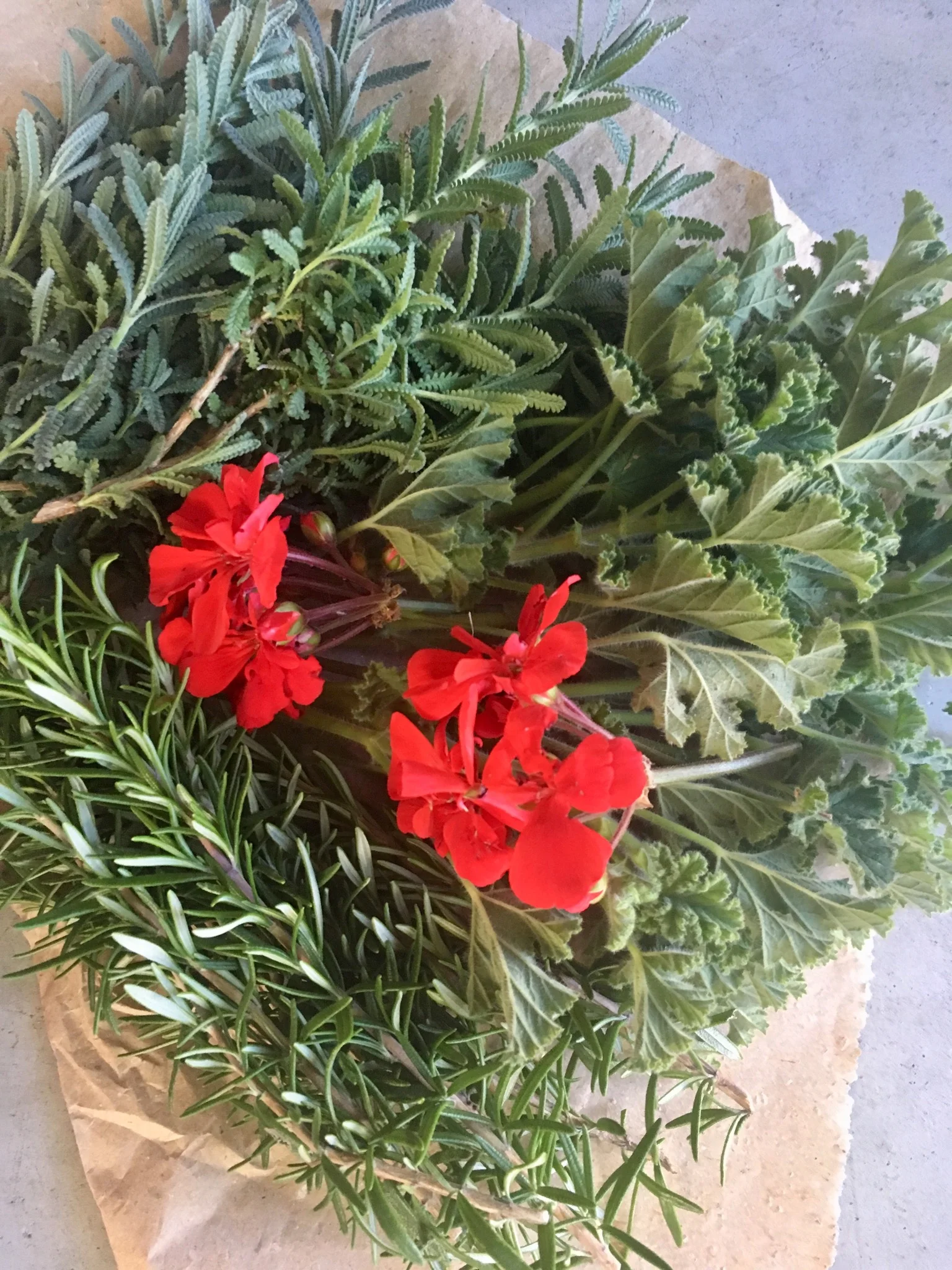 Hunter Valley DIY SMUDGE STICK kits.jpeg