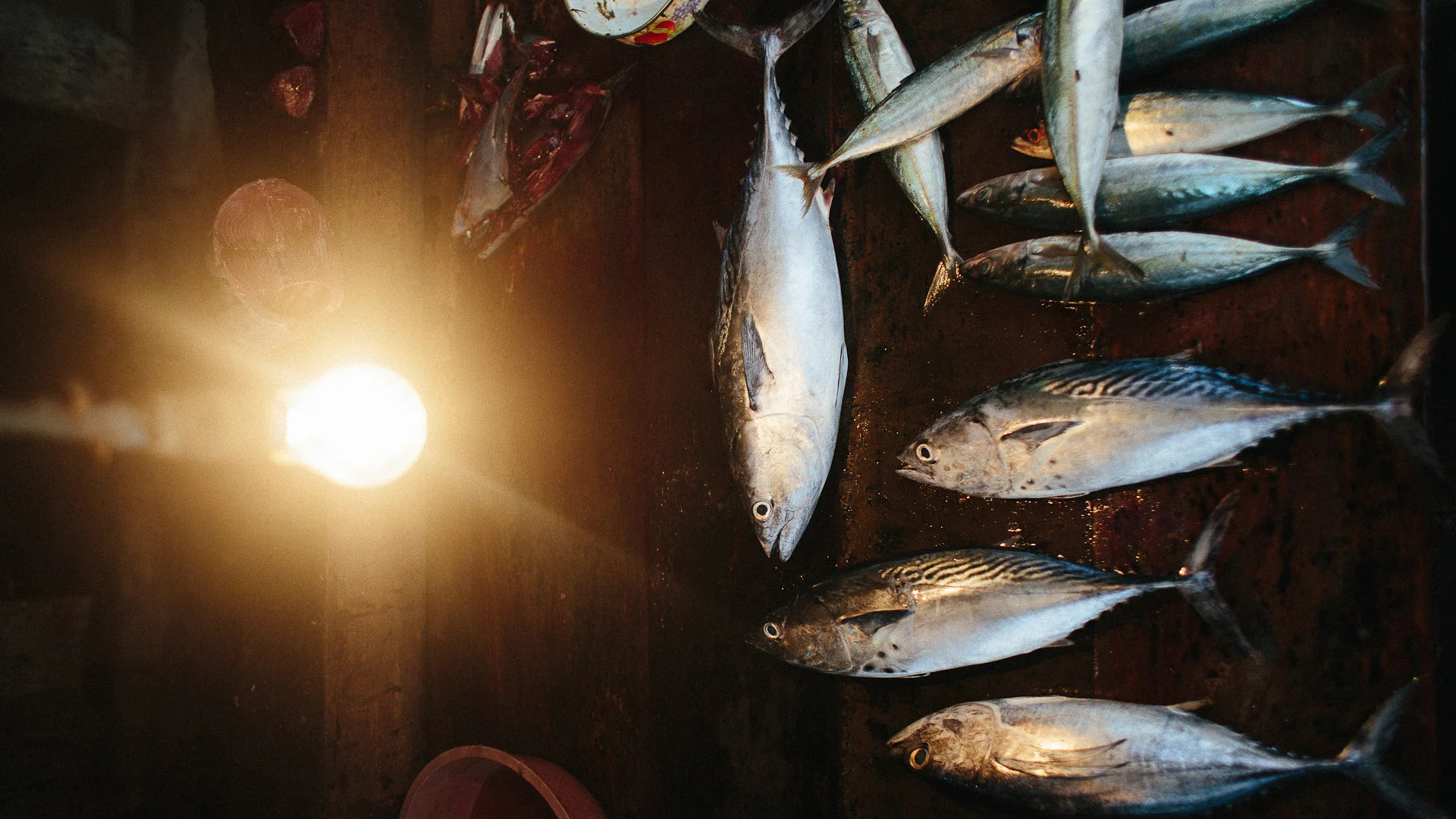 fish_market.jpg