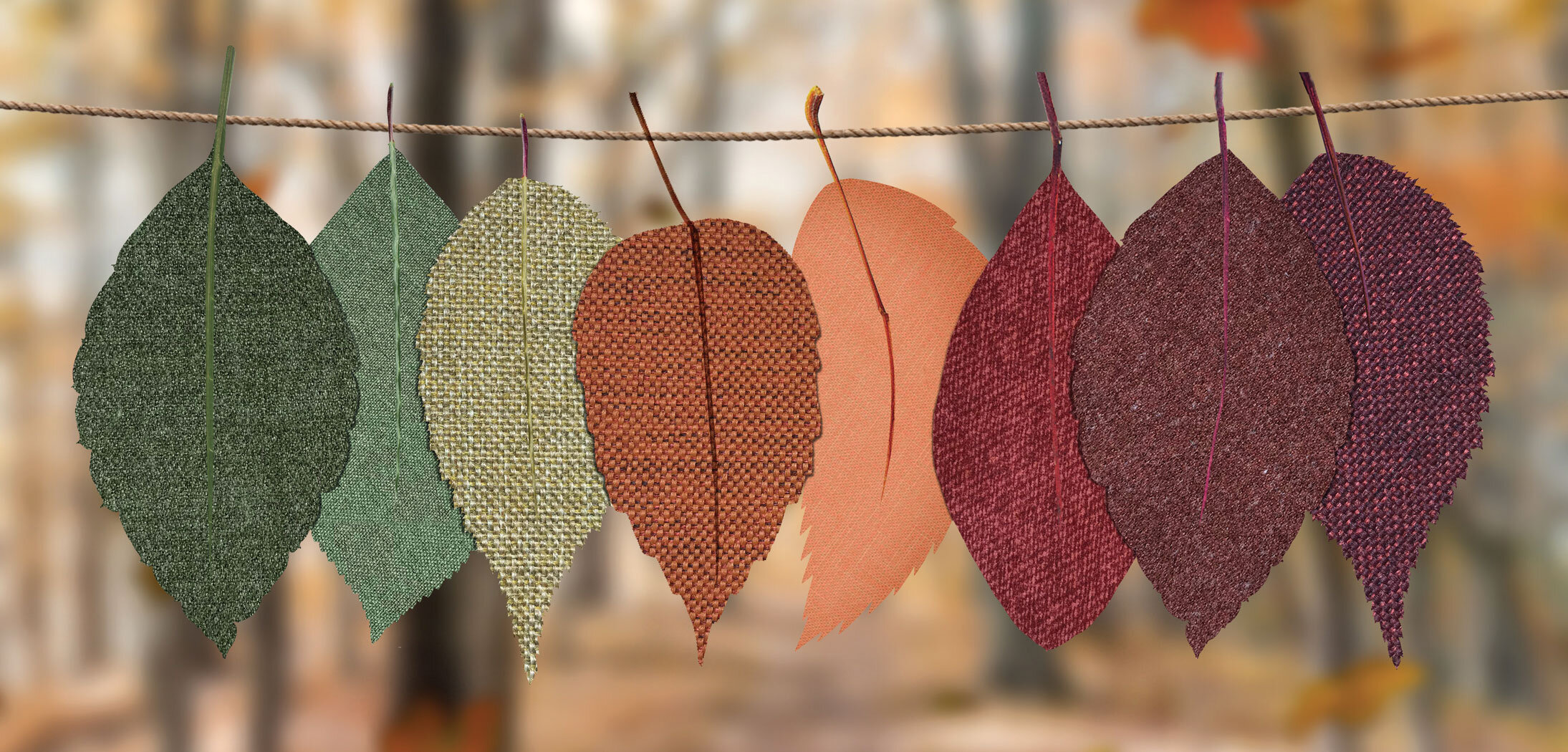 autumn-decoration-autumn-mood-forest-bright-1389460.jpg