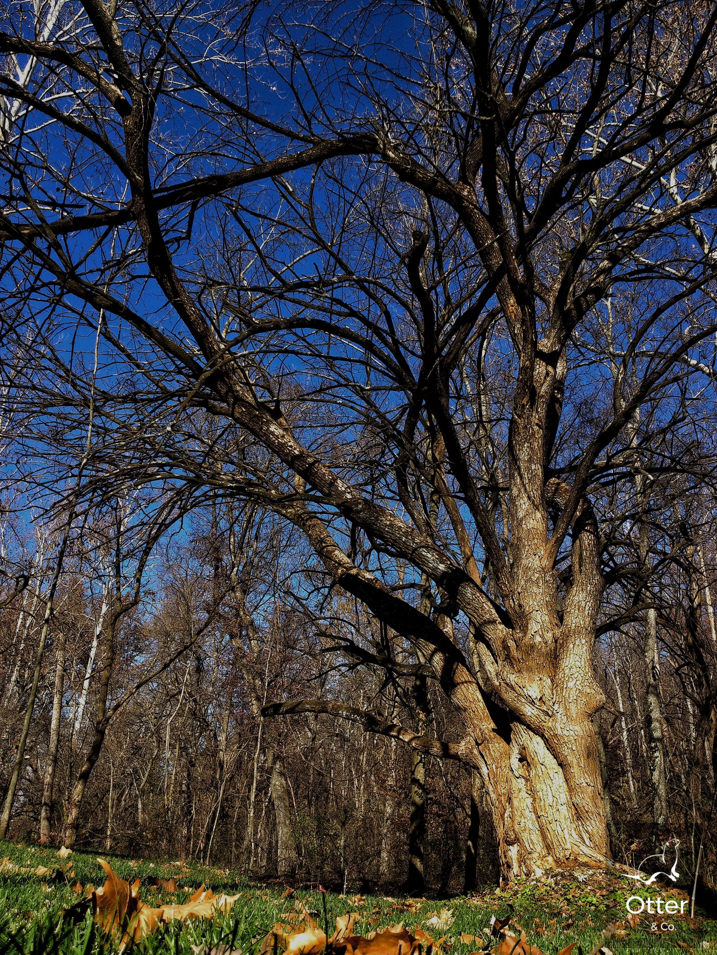 DSC_0304-01.jpeg