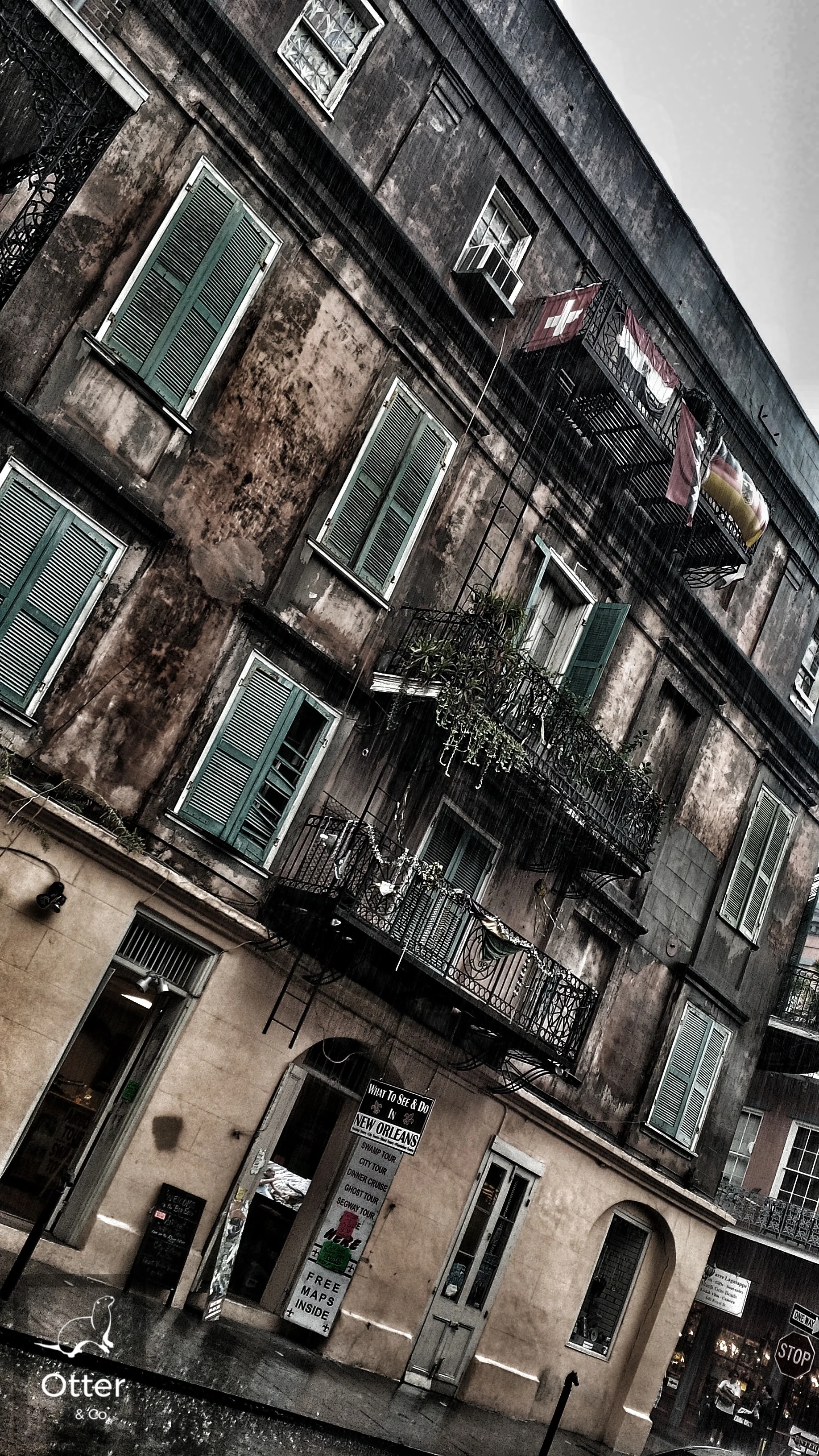 IMG_00000550-01.jpeg
