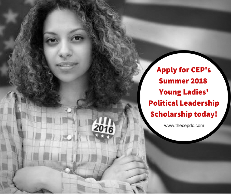 Summer Scholarship 2018.png