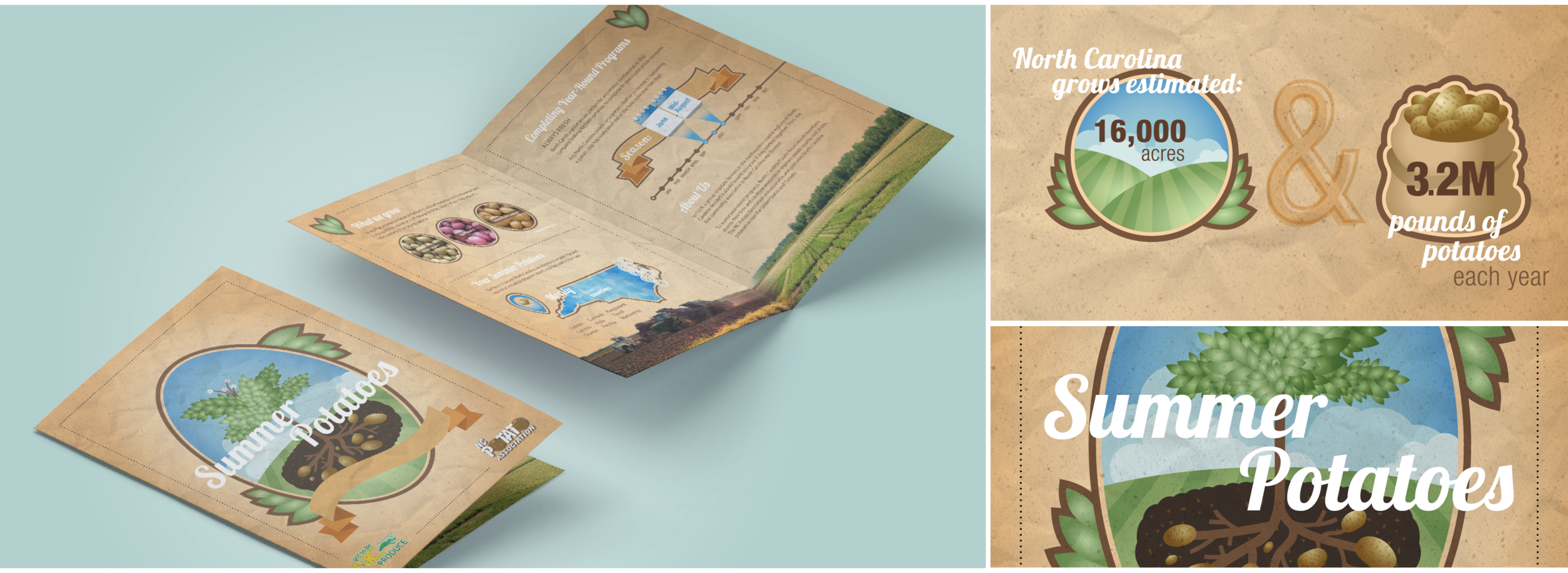 Summer Potatoes Brochure