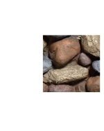 binary-7396-7777.png
