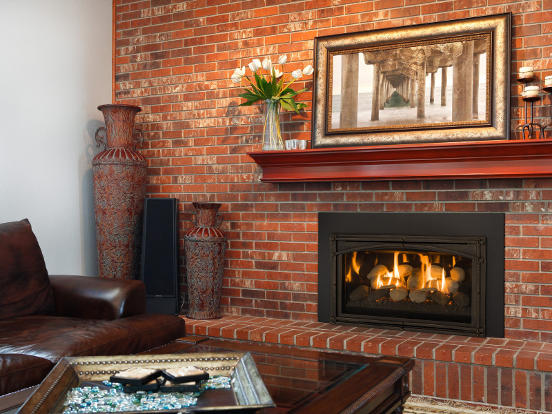 Kozy Heat Chaska 29 Gas Fireplace Insert American Eagle