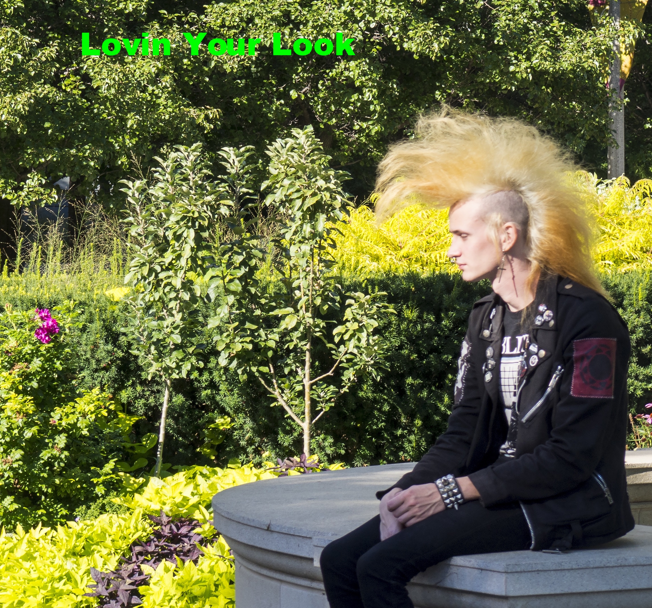 StreetMohawk.jpg