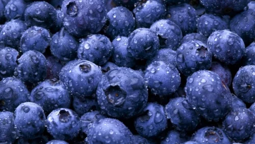 blueberries.jpg