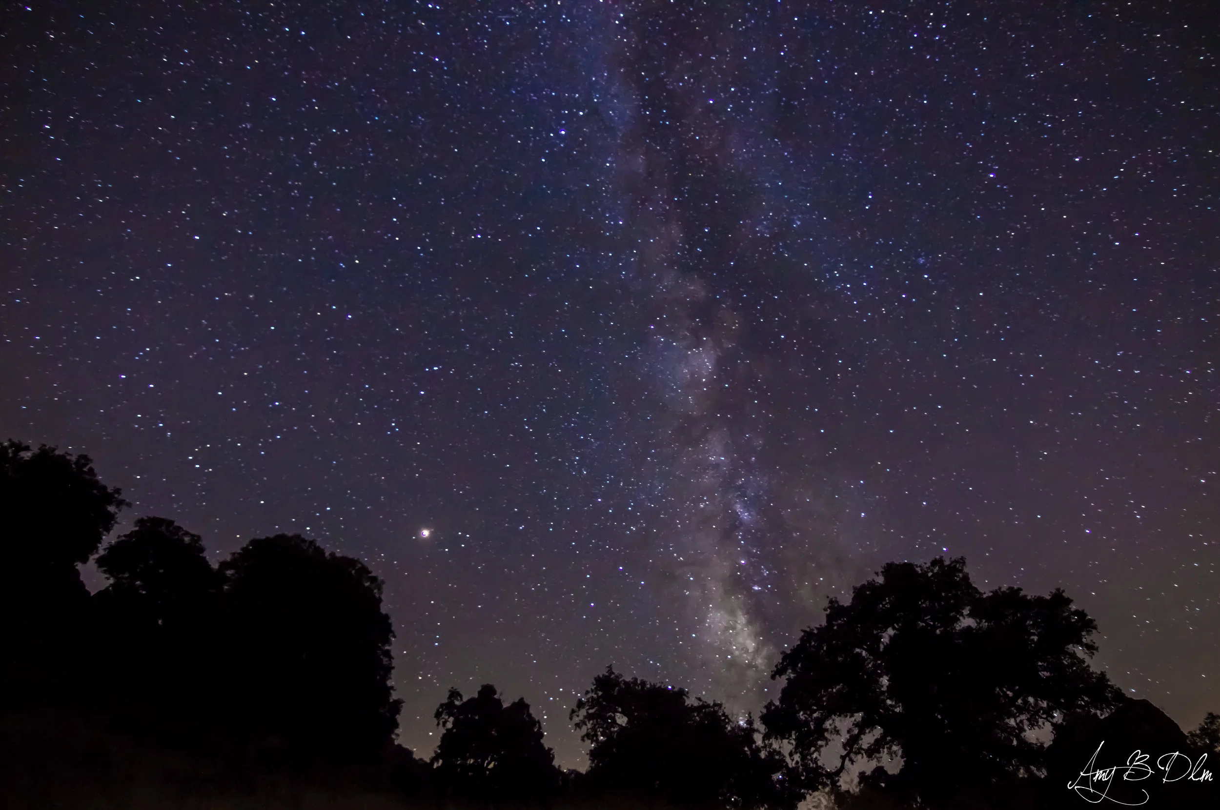 Photo of Mars and the milky way taken this week by Amy, one of our volunteers. Amy B Dlm Photography