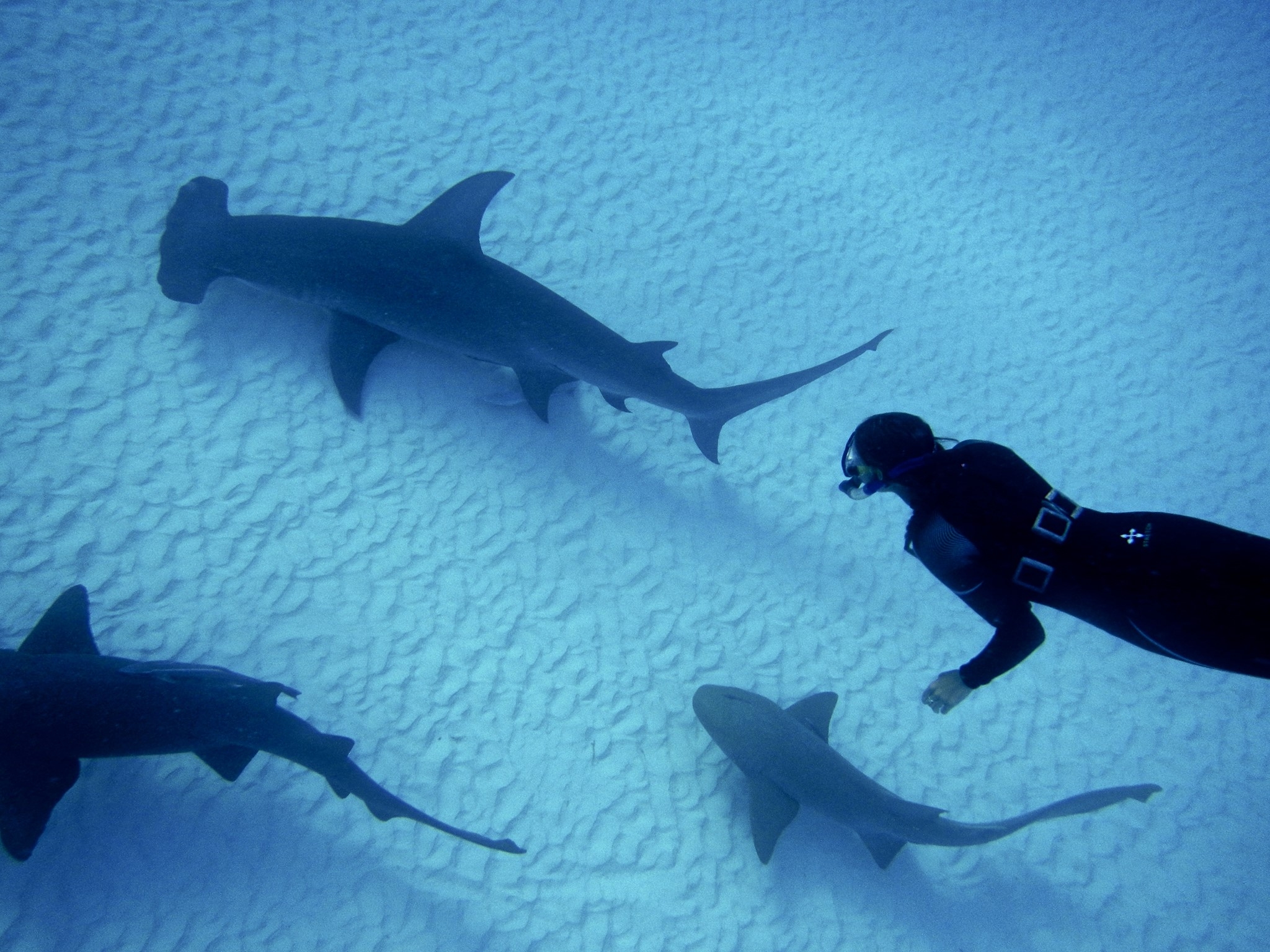 MoveEatRepeat_HomePage_Banner 1.jpg