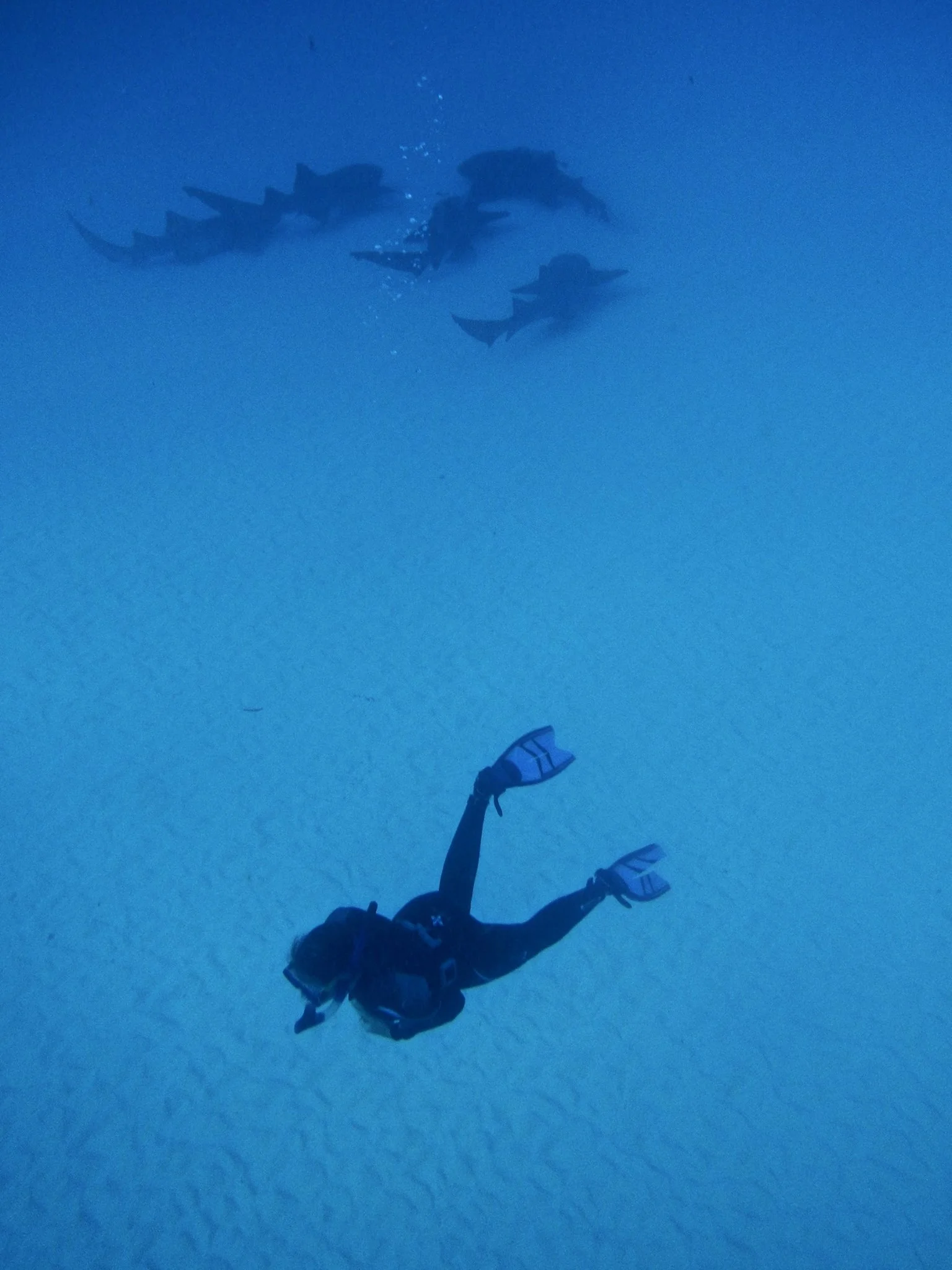 MoveEatRepeat_About Me_Banner 1.jpg