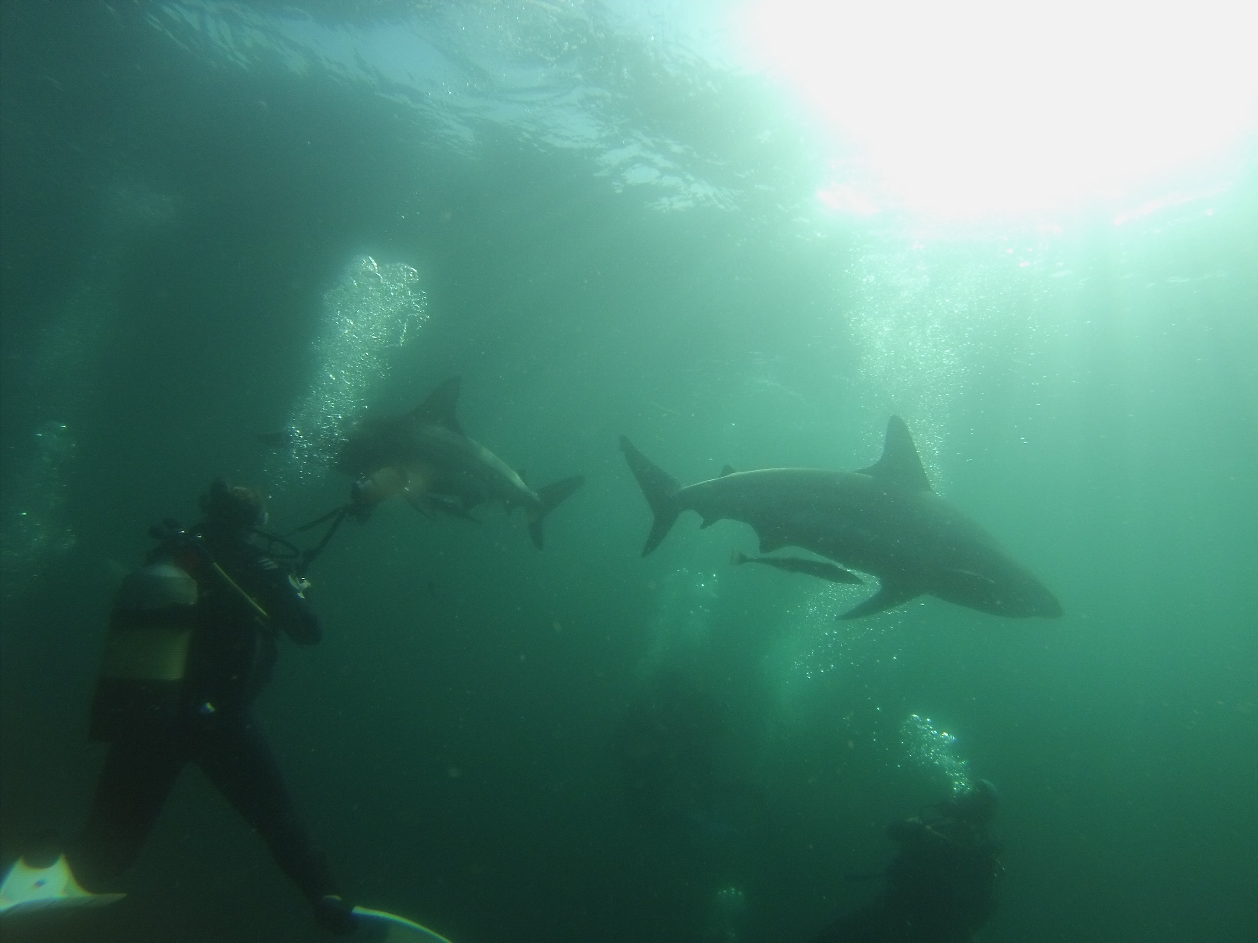 MoveEatRepeat_Gallery_Mossel Bay_29.JPG