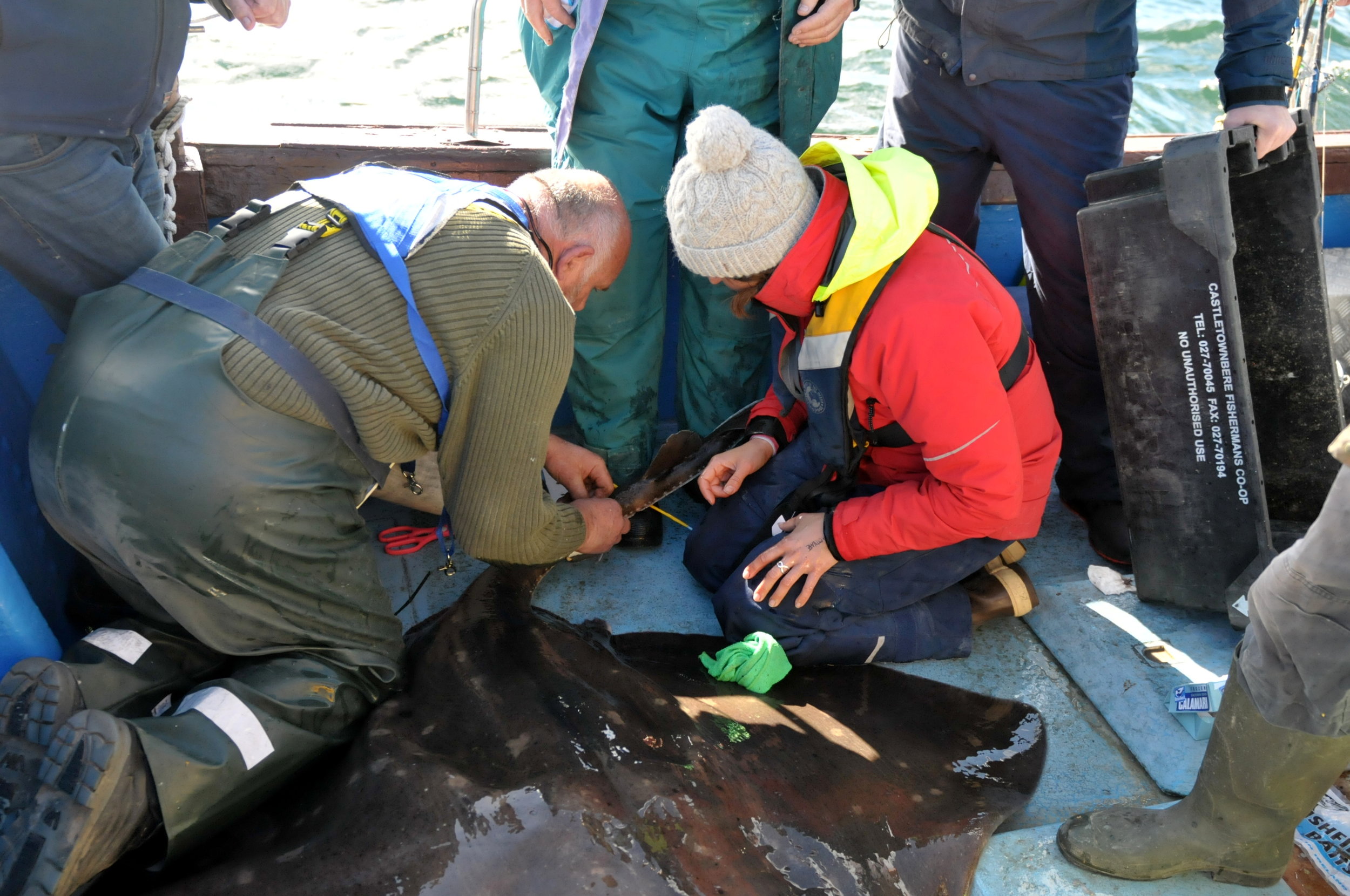 Declan helps with attaching the package while the rest of the fishermen look on. Photo: John O’Connor.