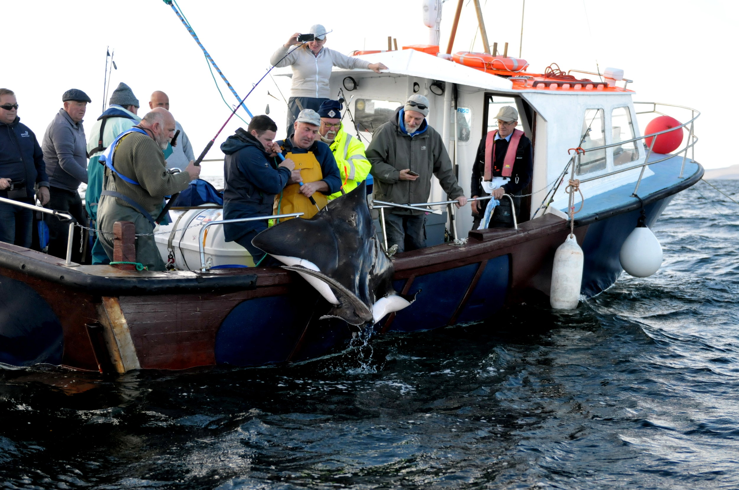 My first glimpse of the flapper skate that would ultimately win first prize. Photo: John O’Connor