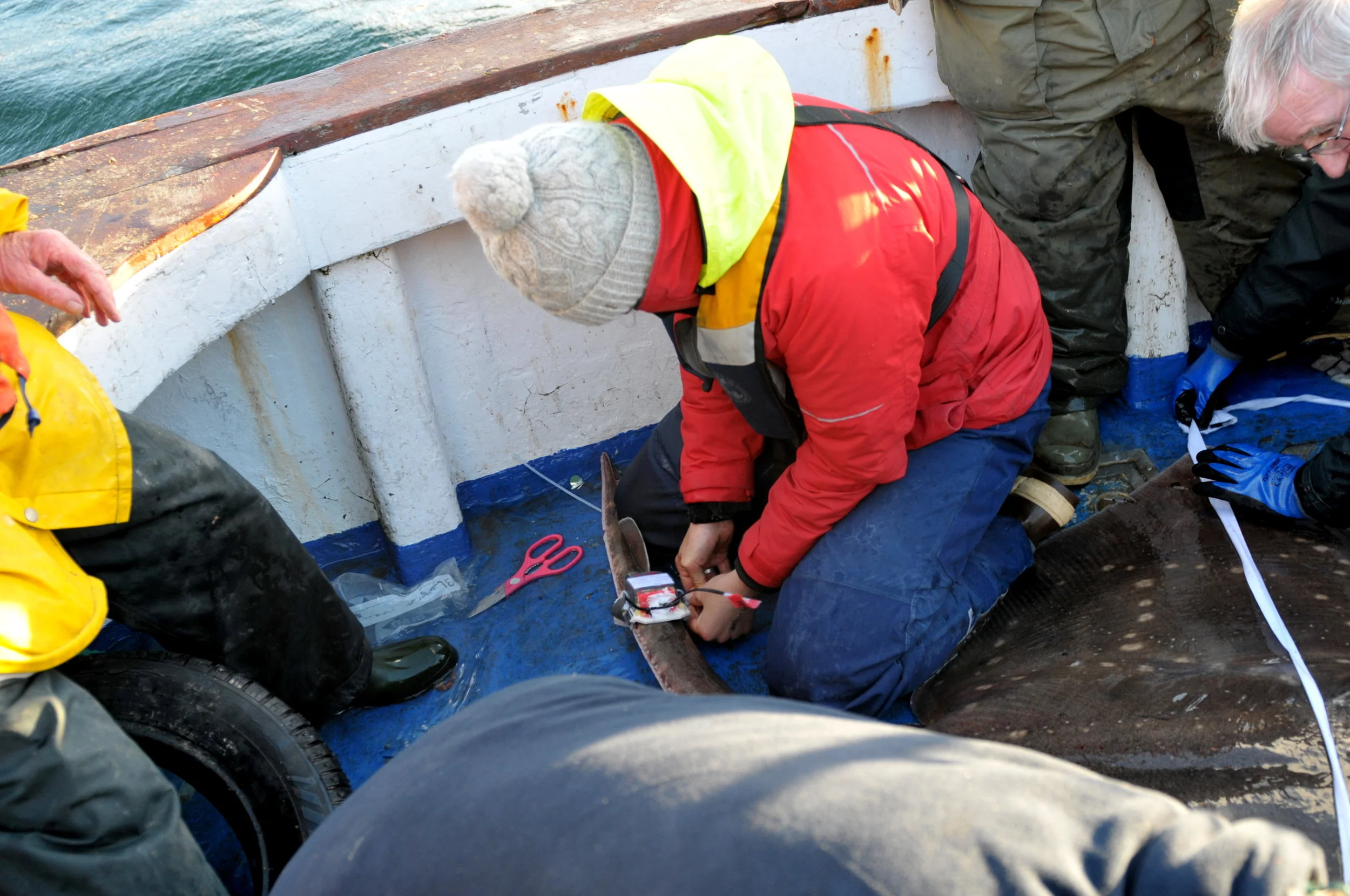 The second attachment was much smoother, thanks to the modification inspired during the first capture. Photo: John O’Connor
