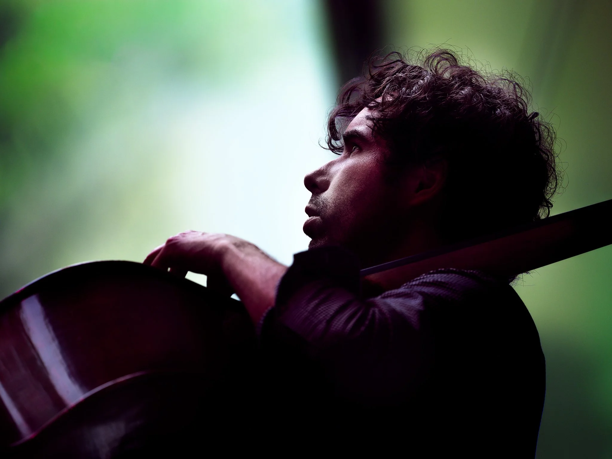 SJF2025 34 LARGE.jpg