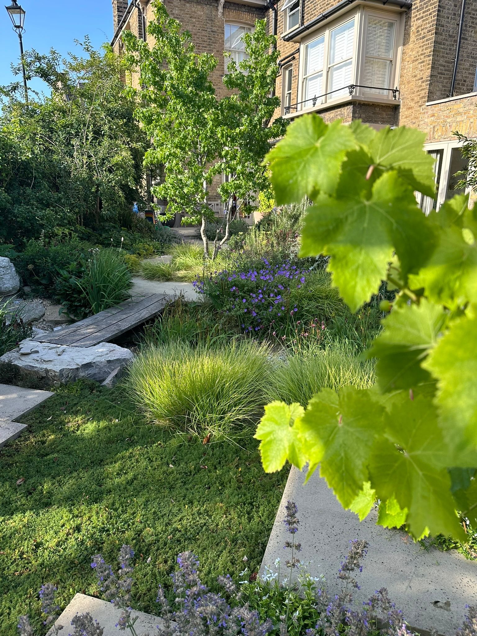 Juliet Hutt Garden Design