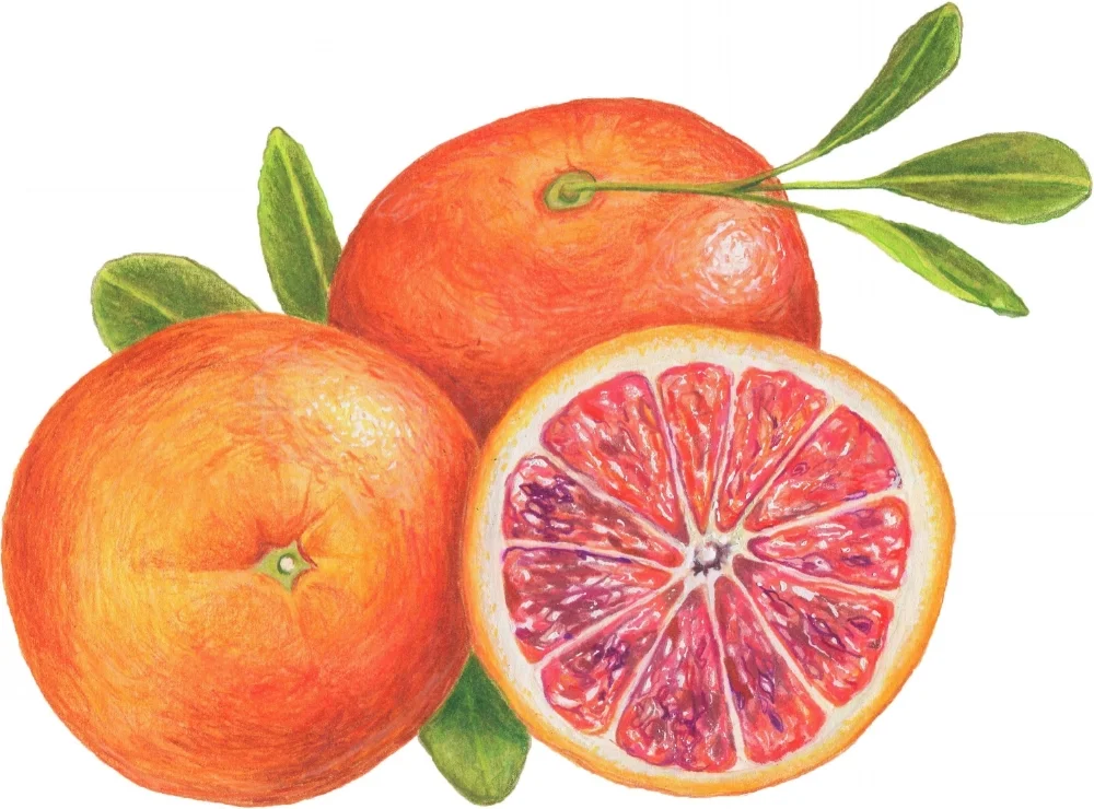 BloodOrange.jpg