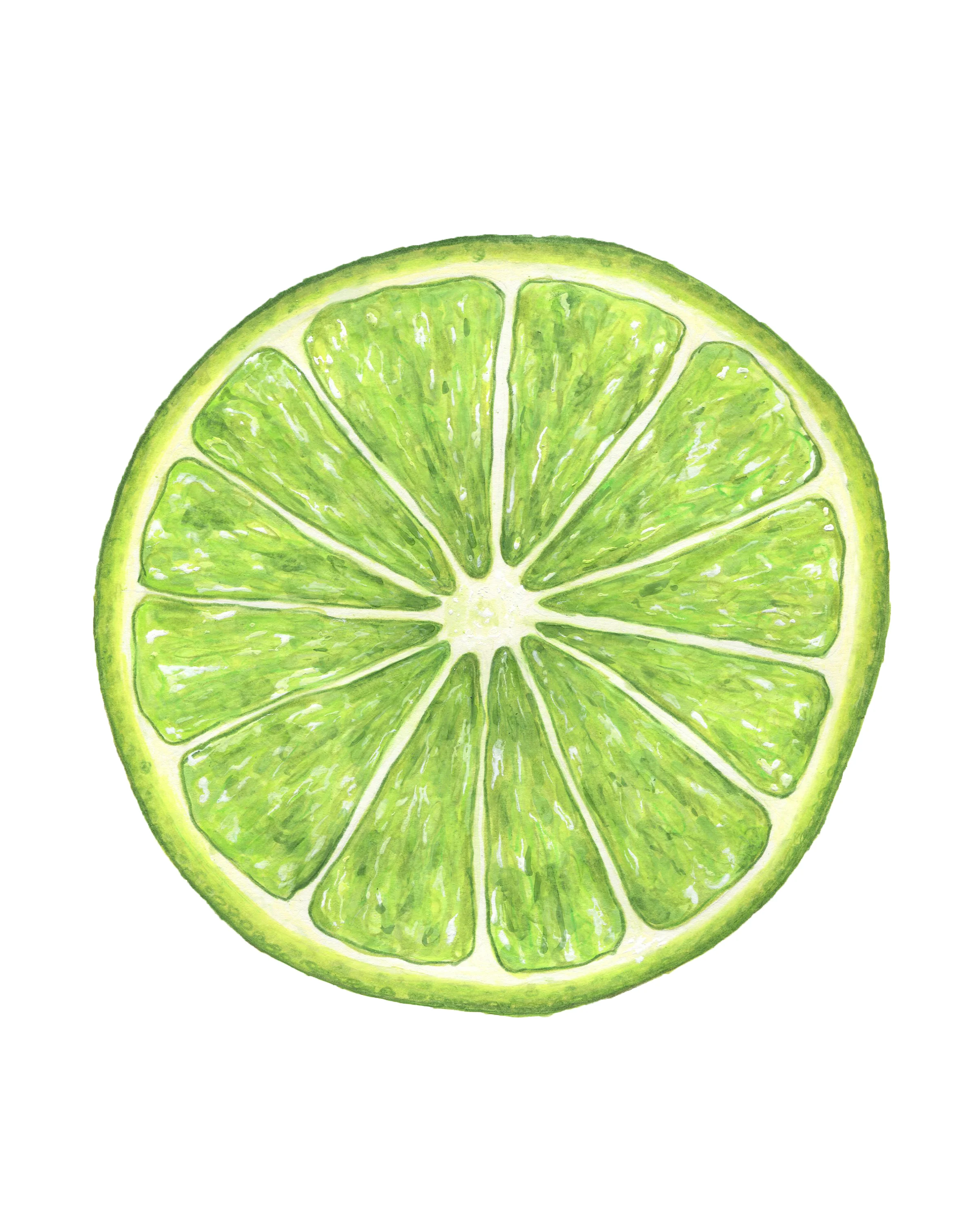 Sliced Lime RGB.jpg