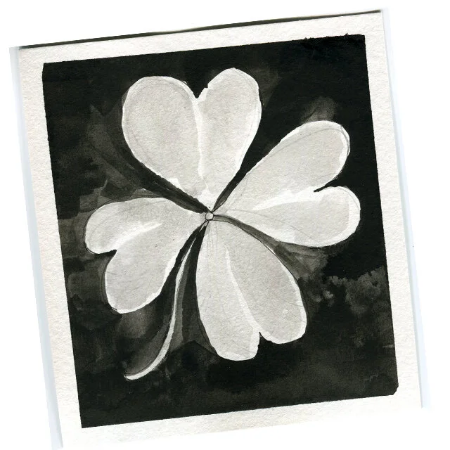 Day 19 CLOVER.jpg