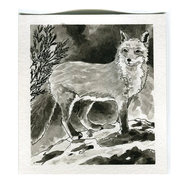 Day 26 FOX.jpg