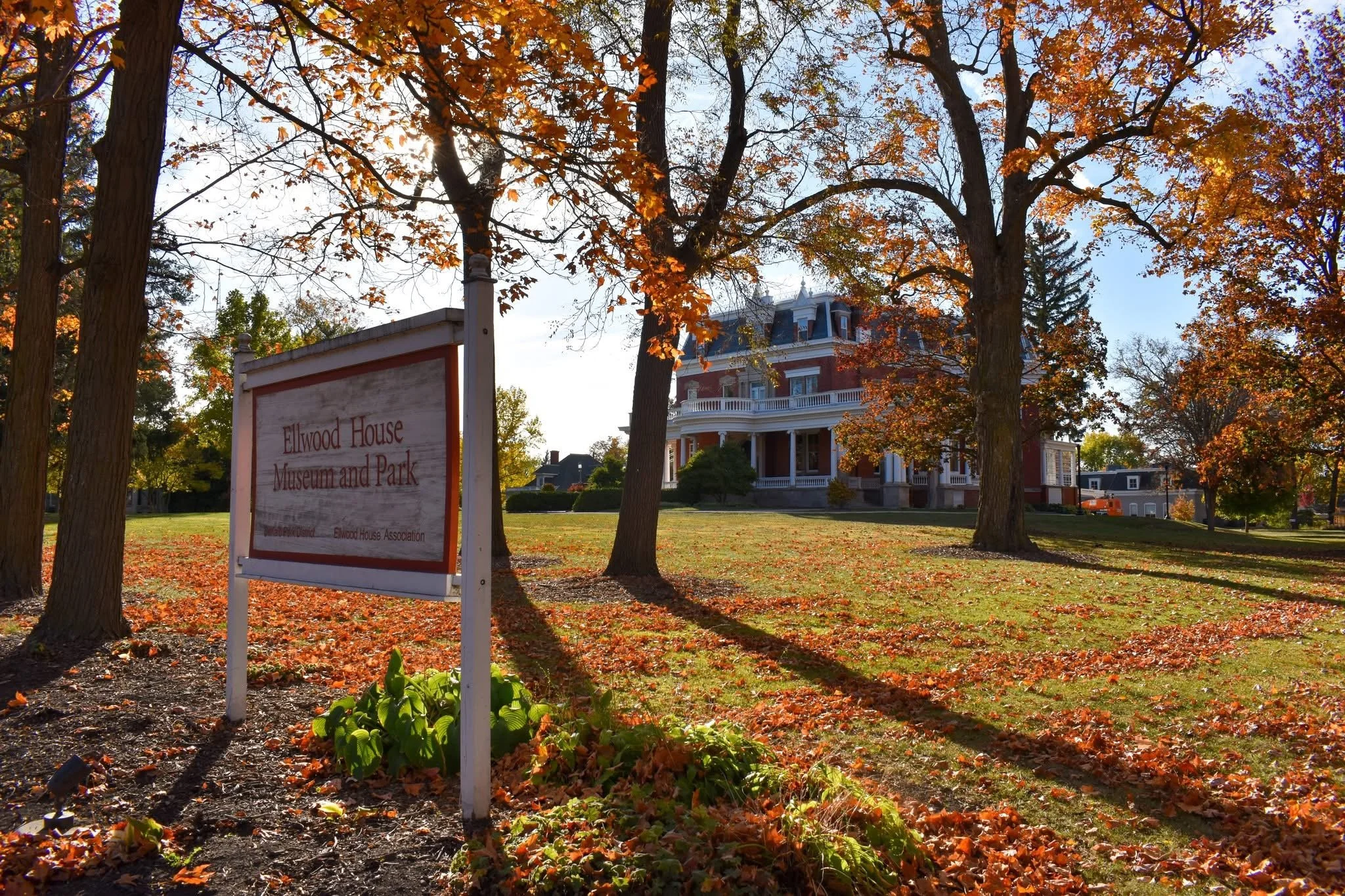 Fall Foliage Photography