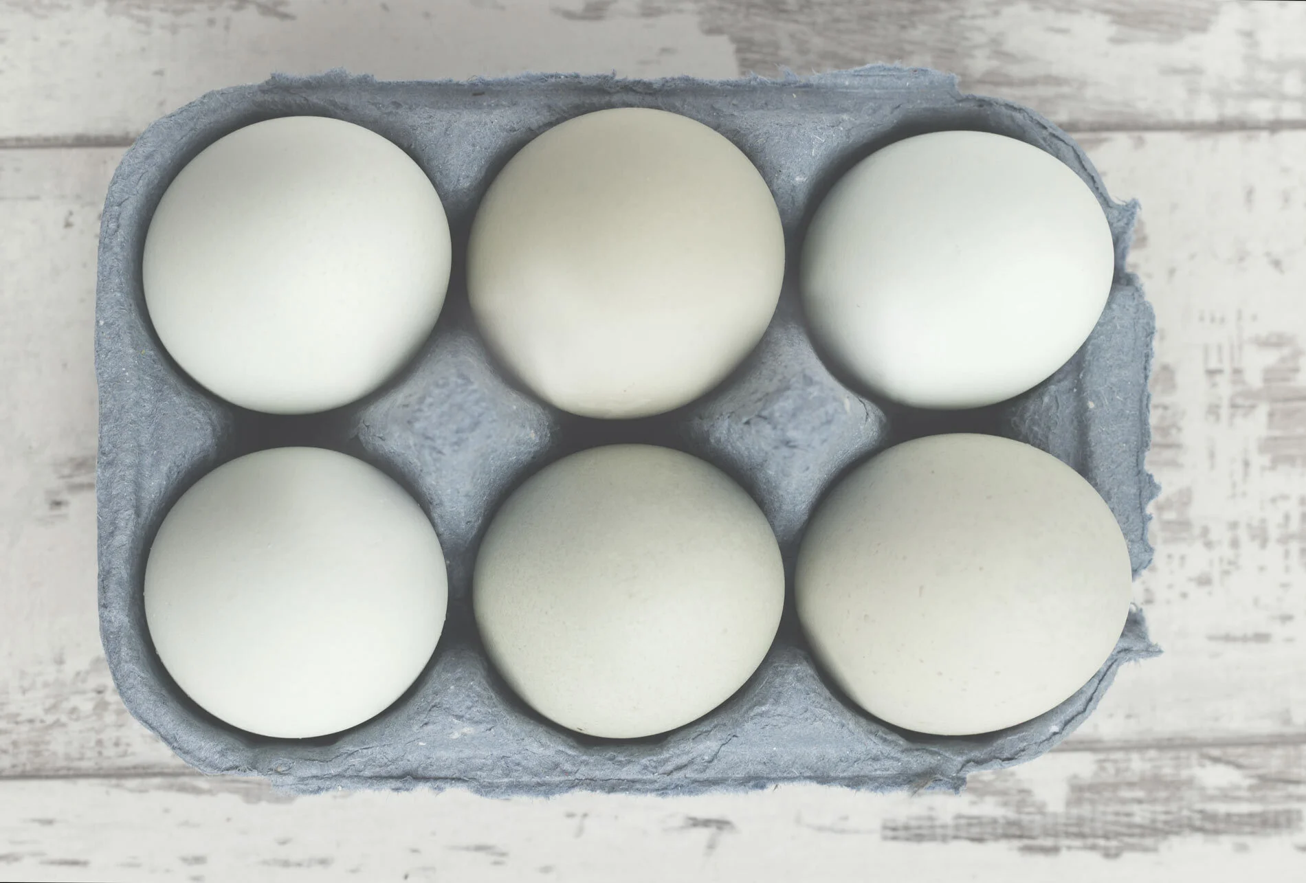 the-eggday-8.jpg