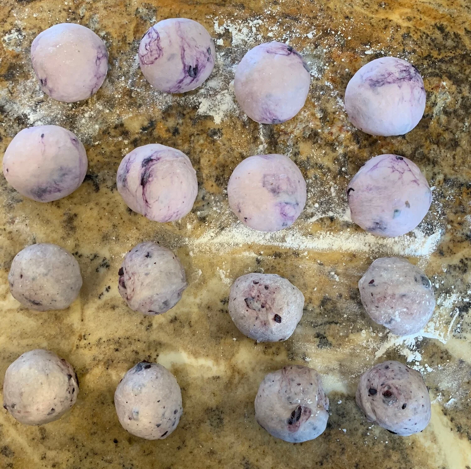 Blueberry Fresh Verses Dried Bagels