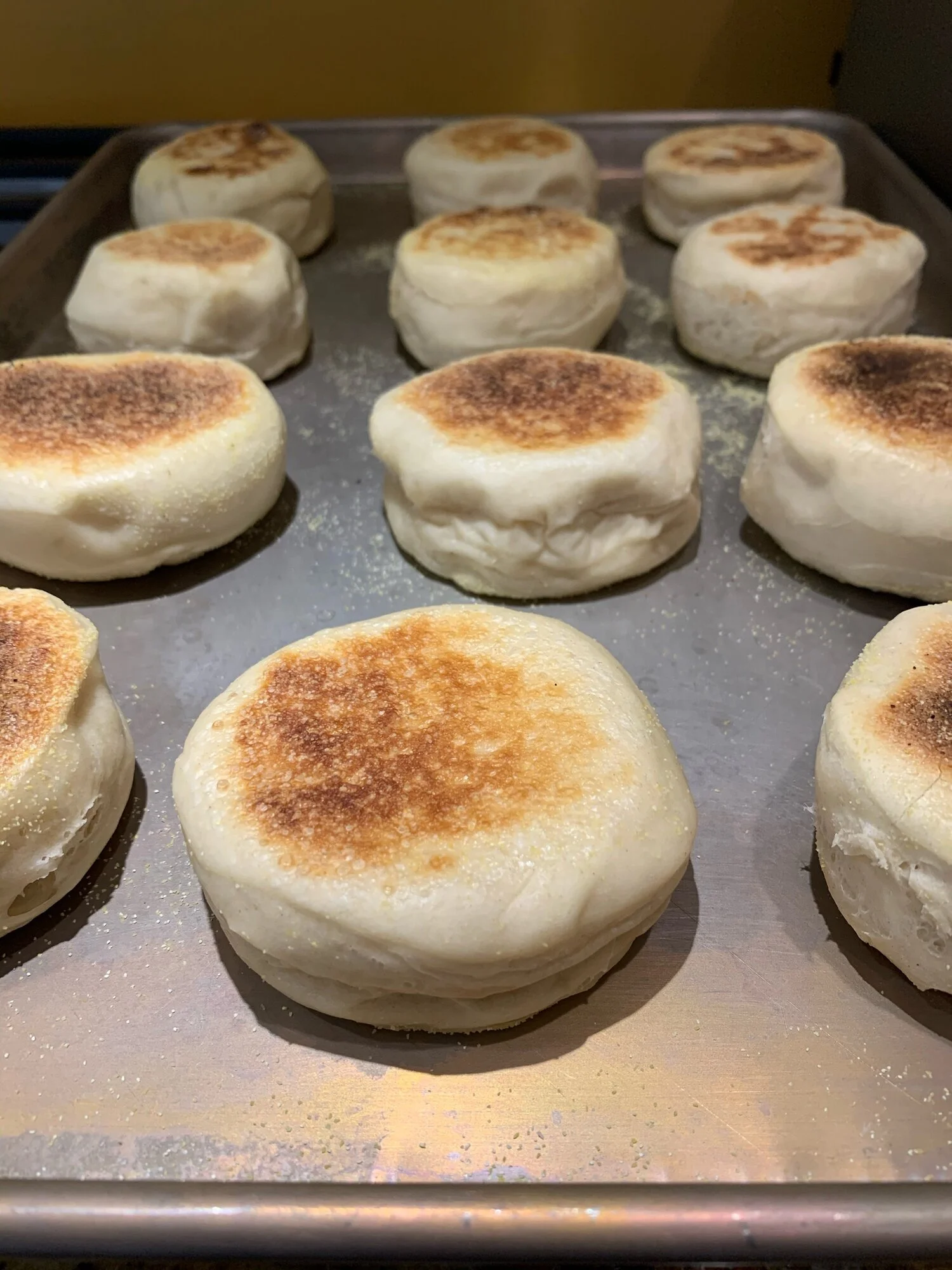 Sourdough English Muffin