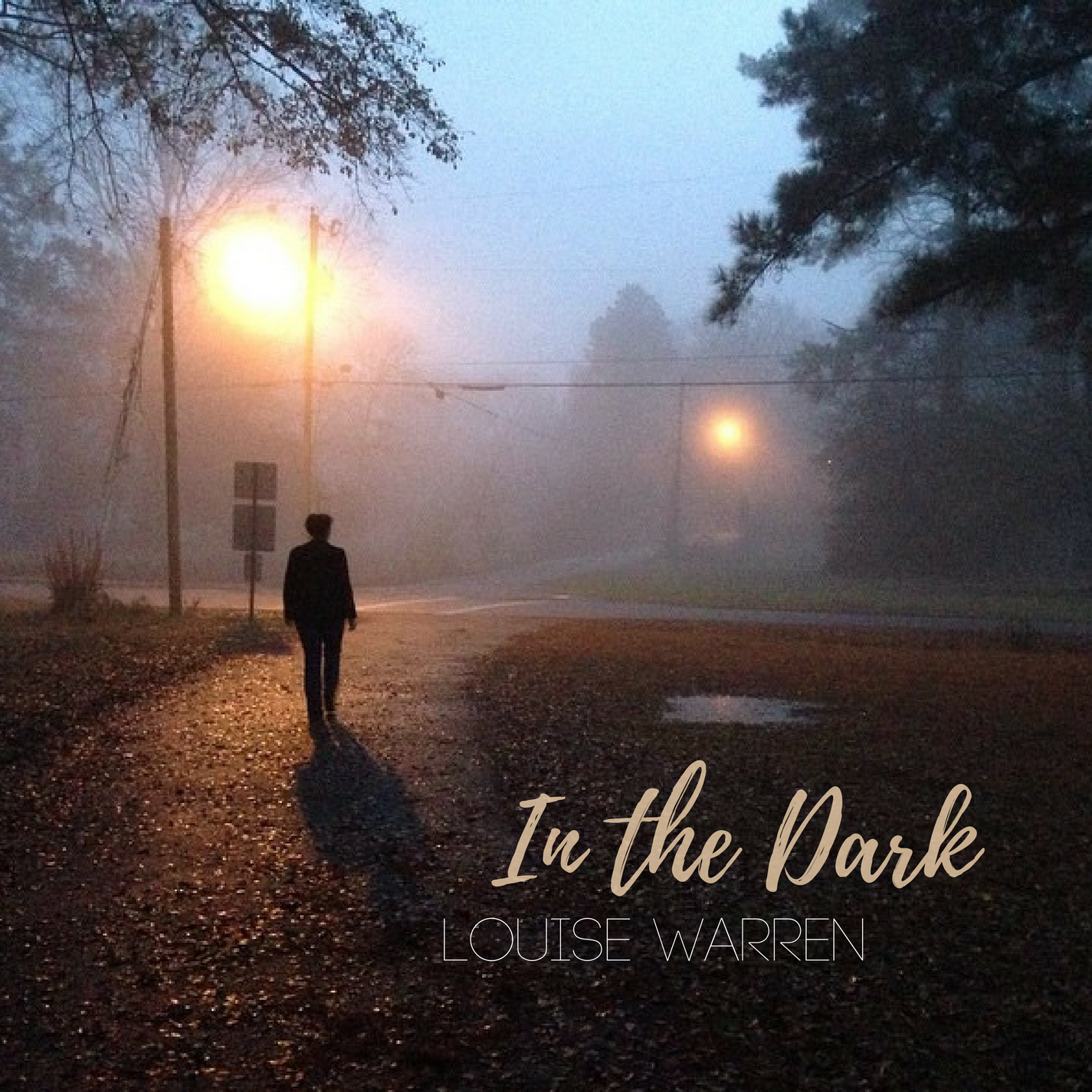 In the Dark.png