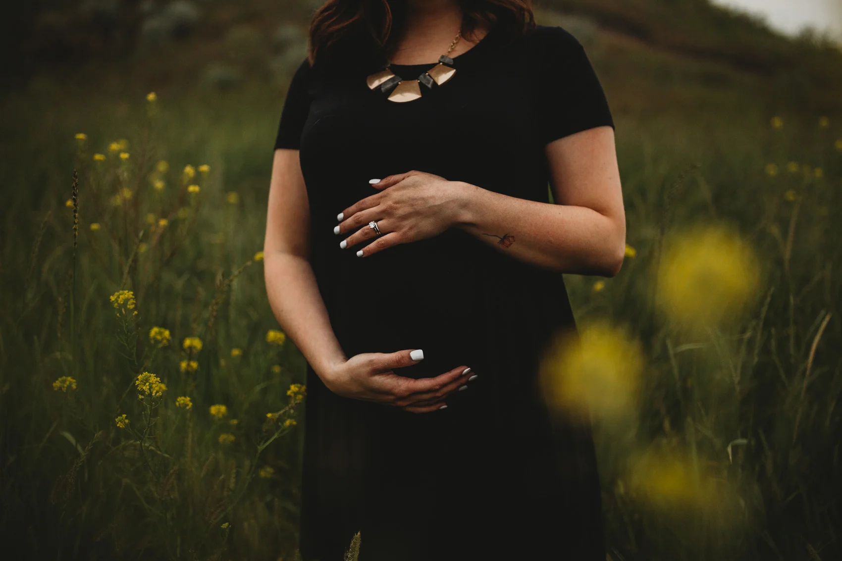 Joanna-Pregnancy-Annoucement-Great-Falls-Montana-Photographer-10.jpg