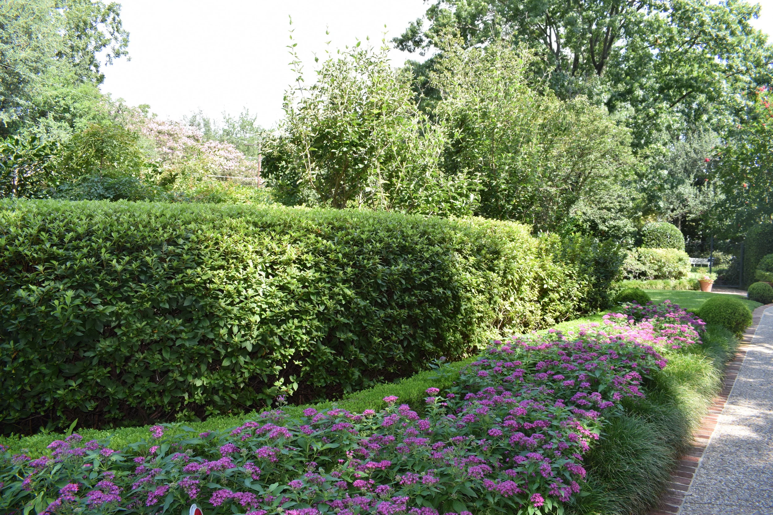 DSC_0125.JPG