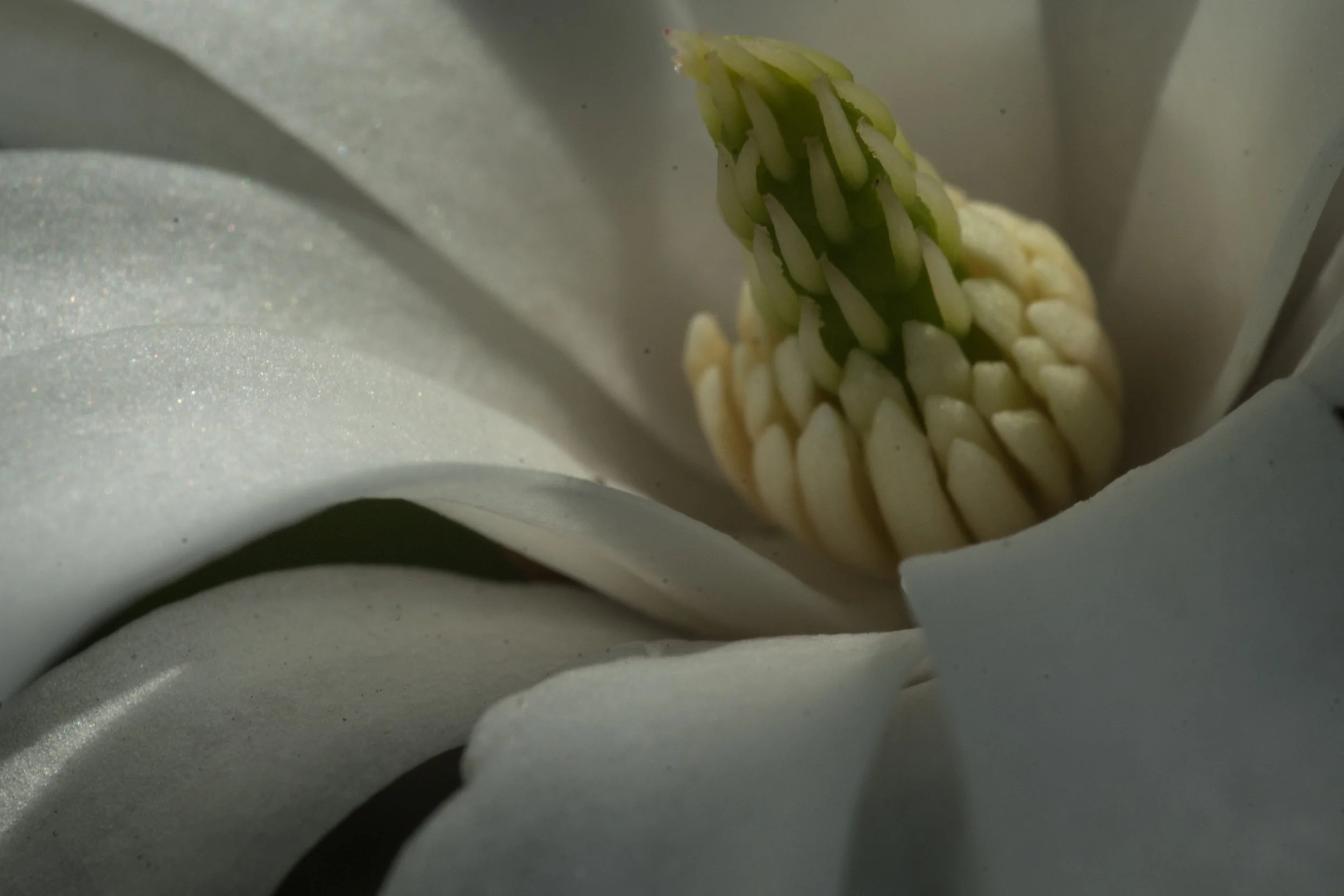 Frühling-3.jpg