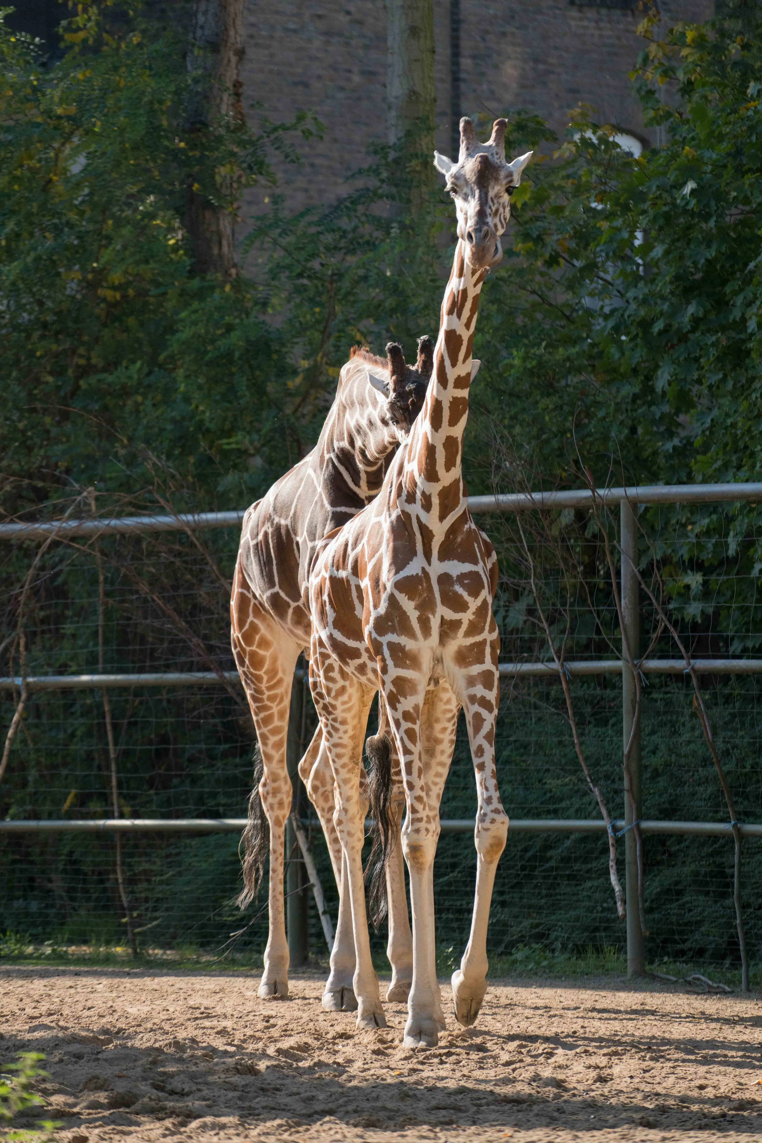 Zoo-28.jpg