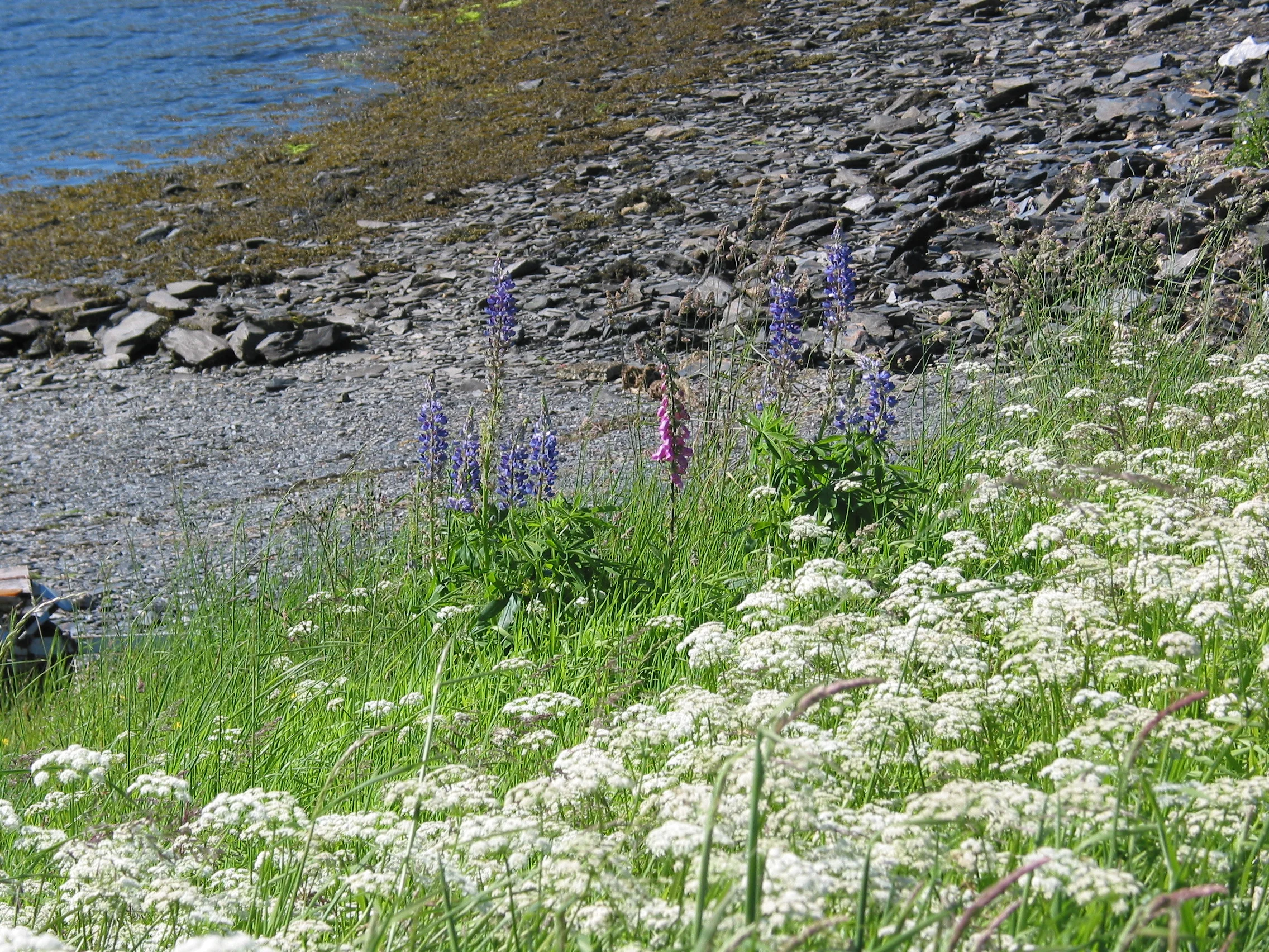 IMG_1055.JPG