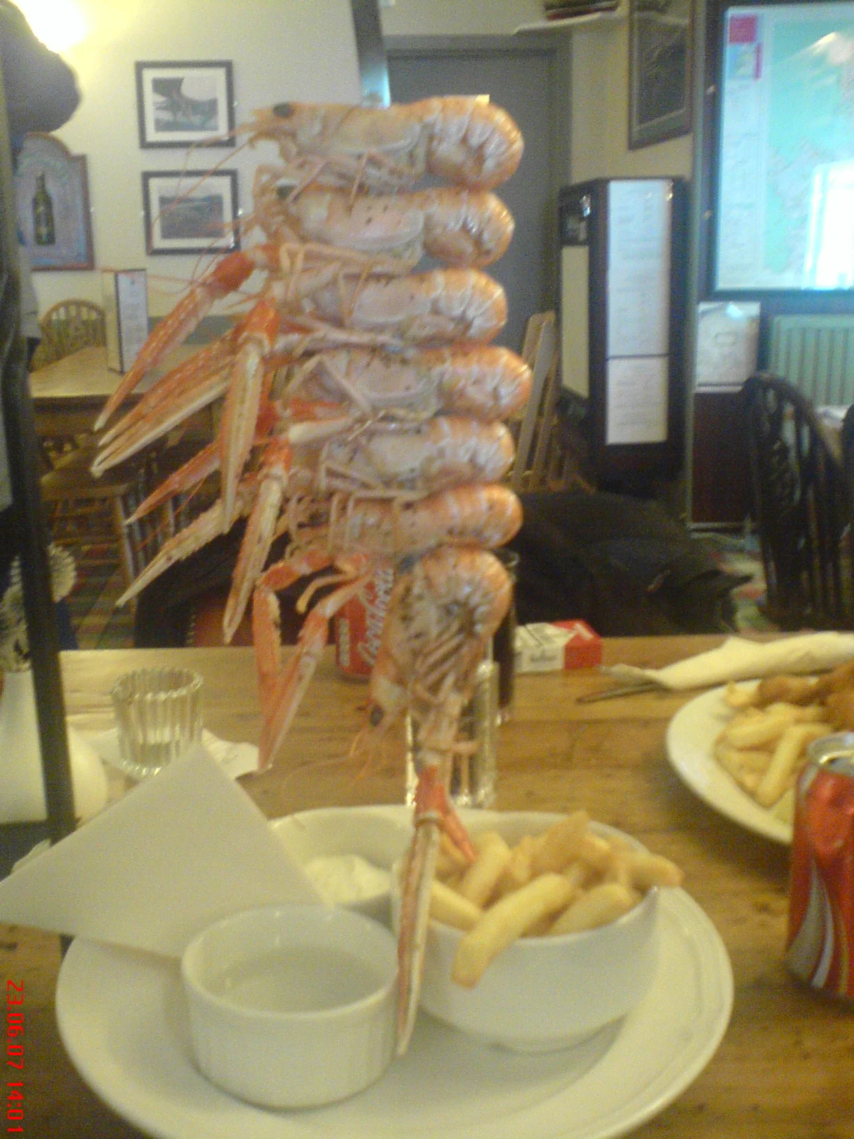 DSC00042.JPG