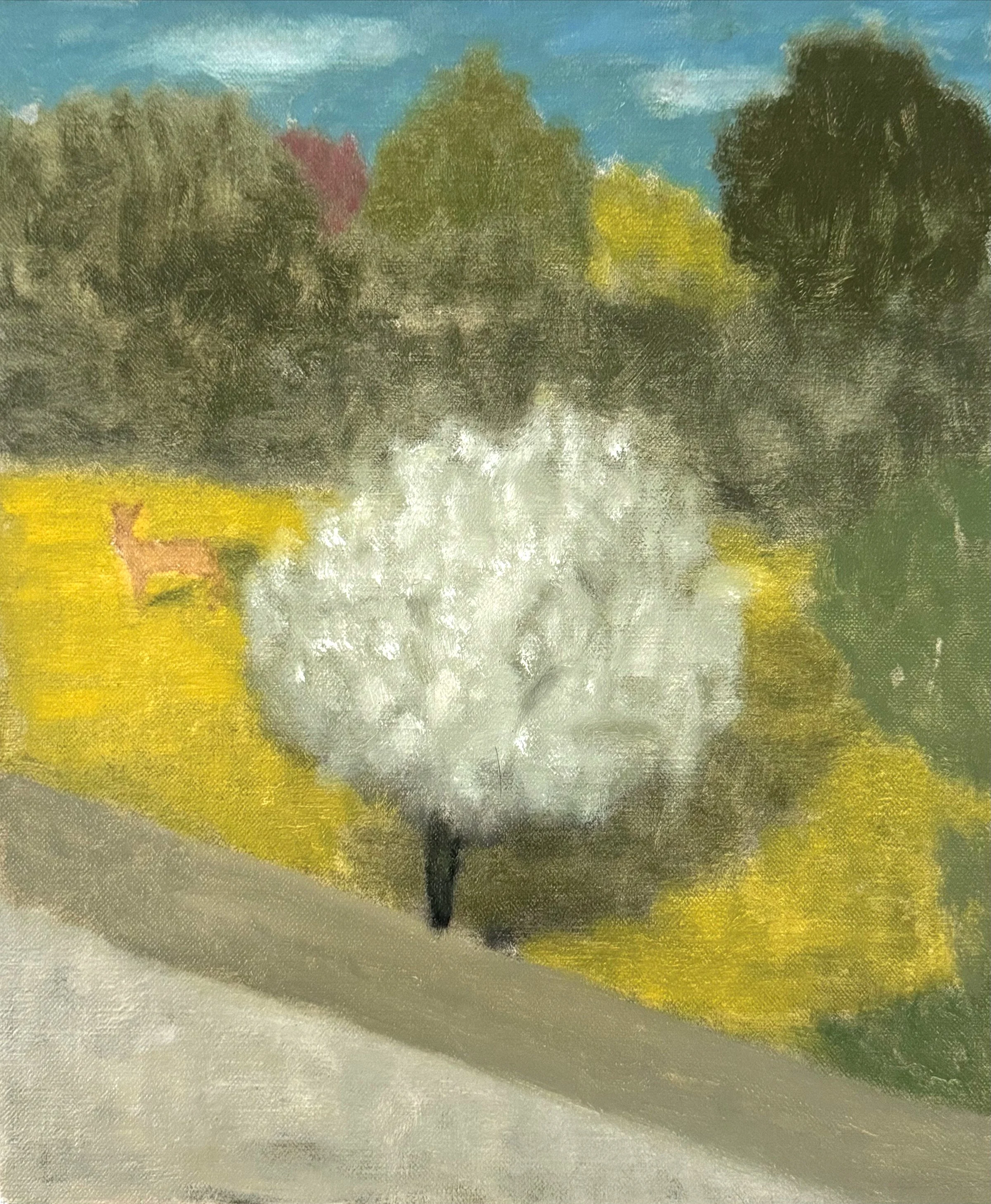   Almond  