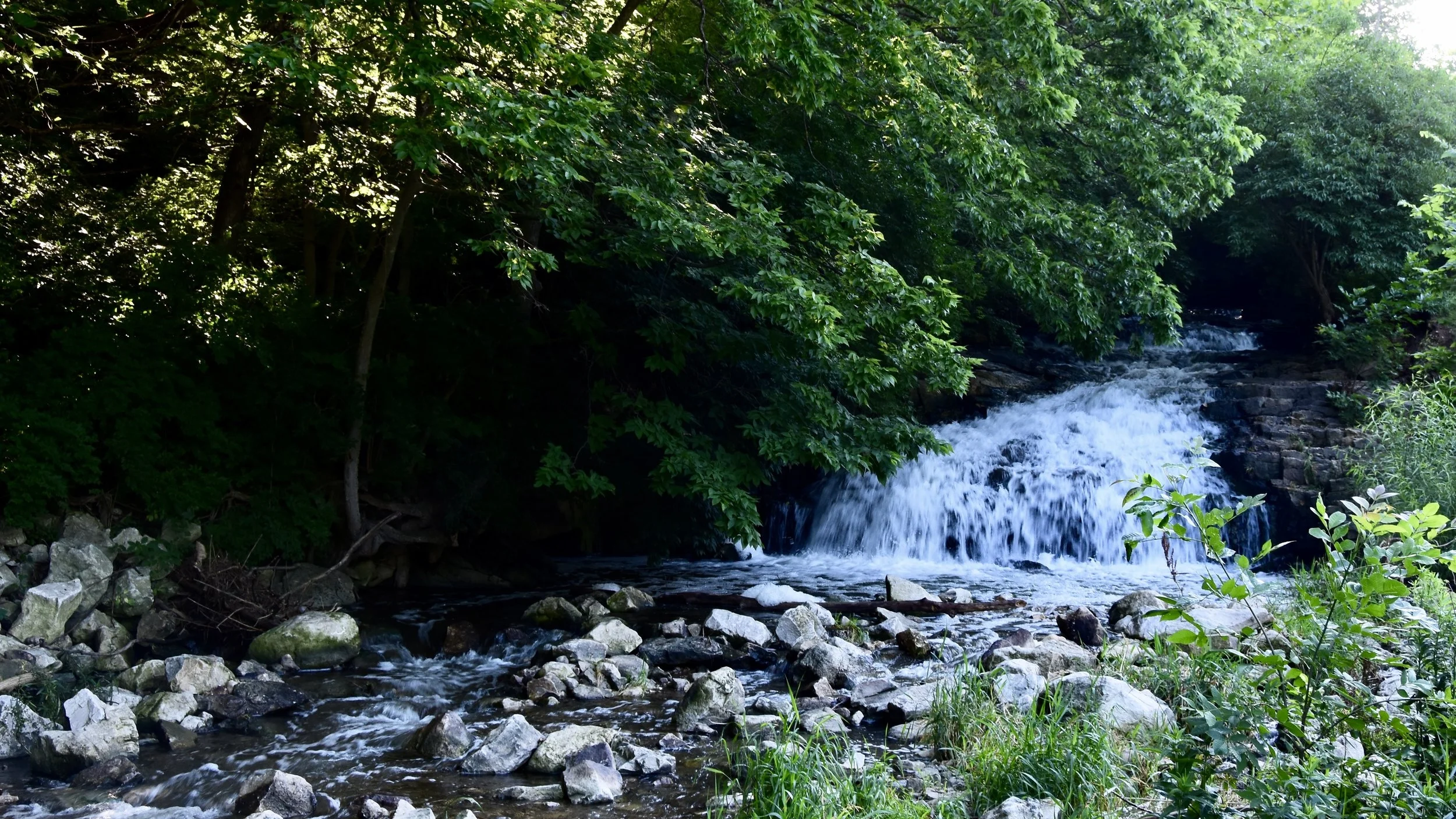 Water