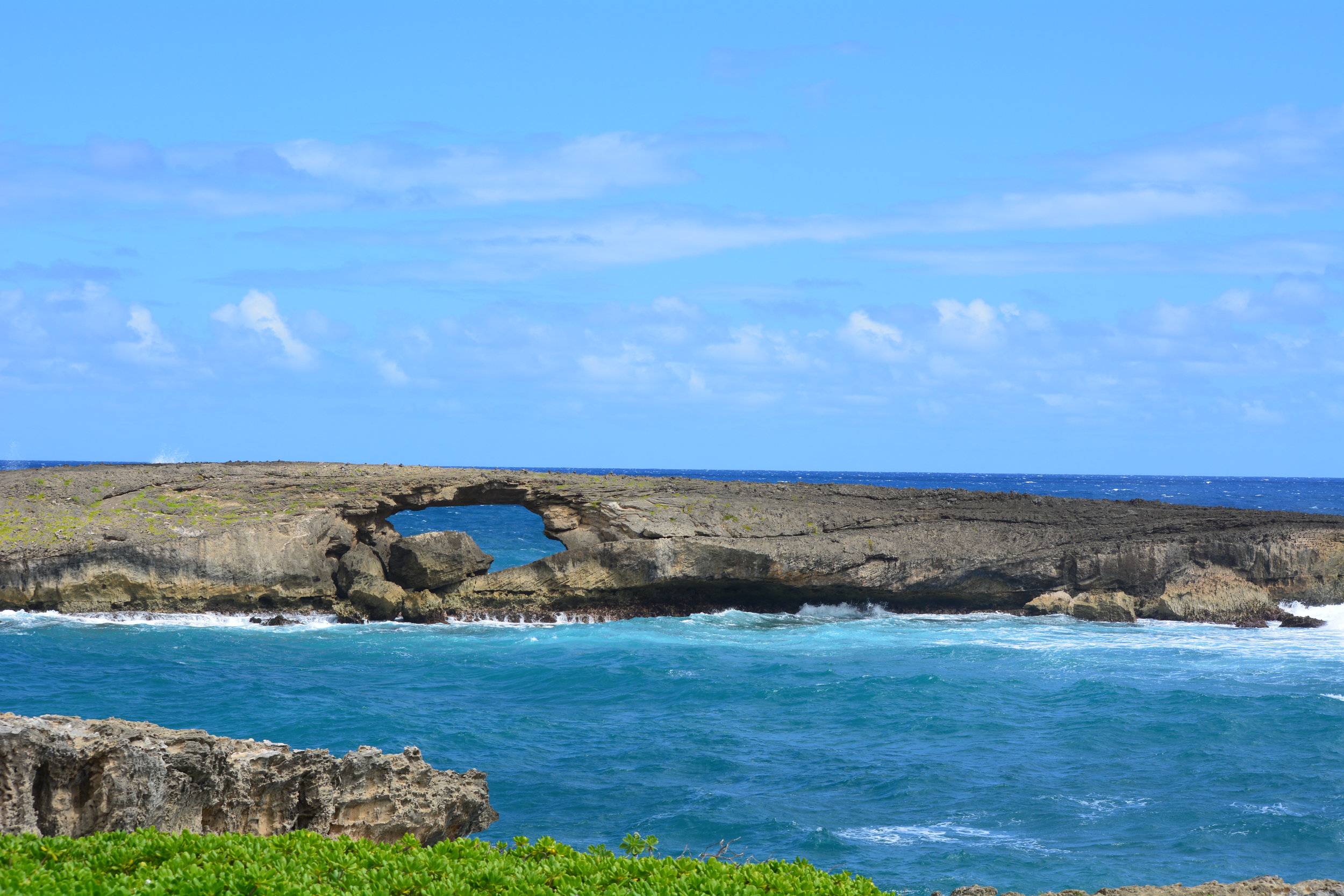 DSC_0201.JPG