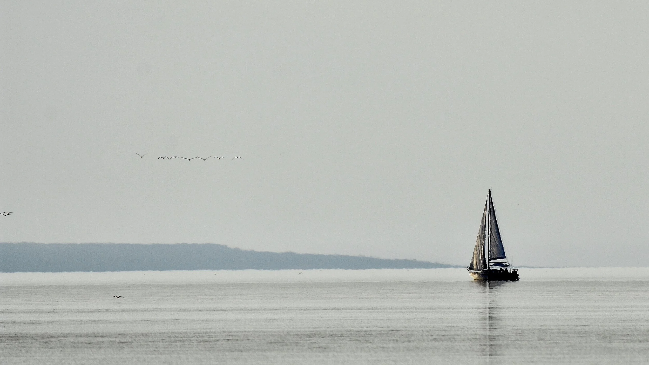 Peacfullly floating on the Salt Lake.