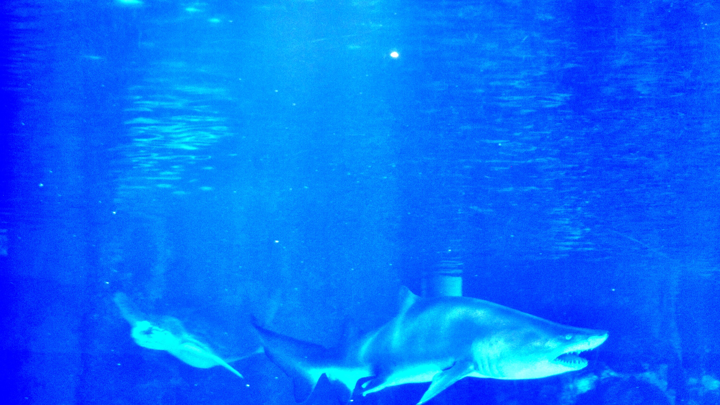 DSC_0024.jpeg