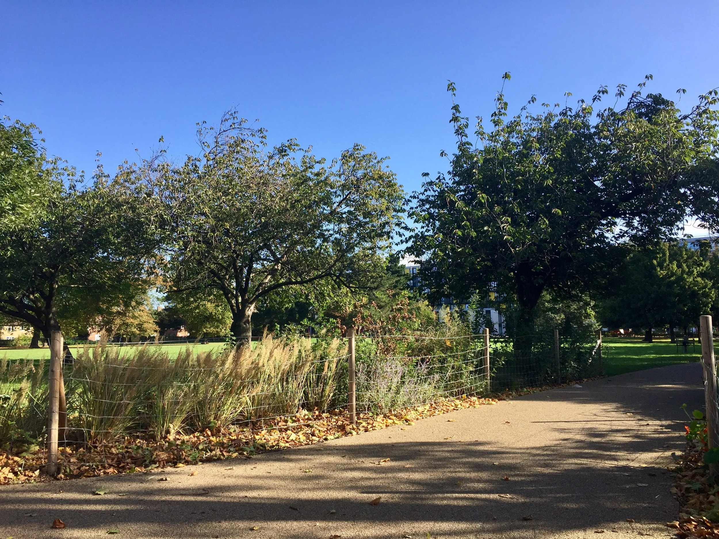 Wormholt Park