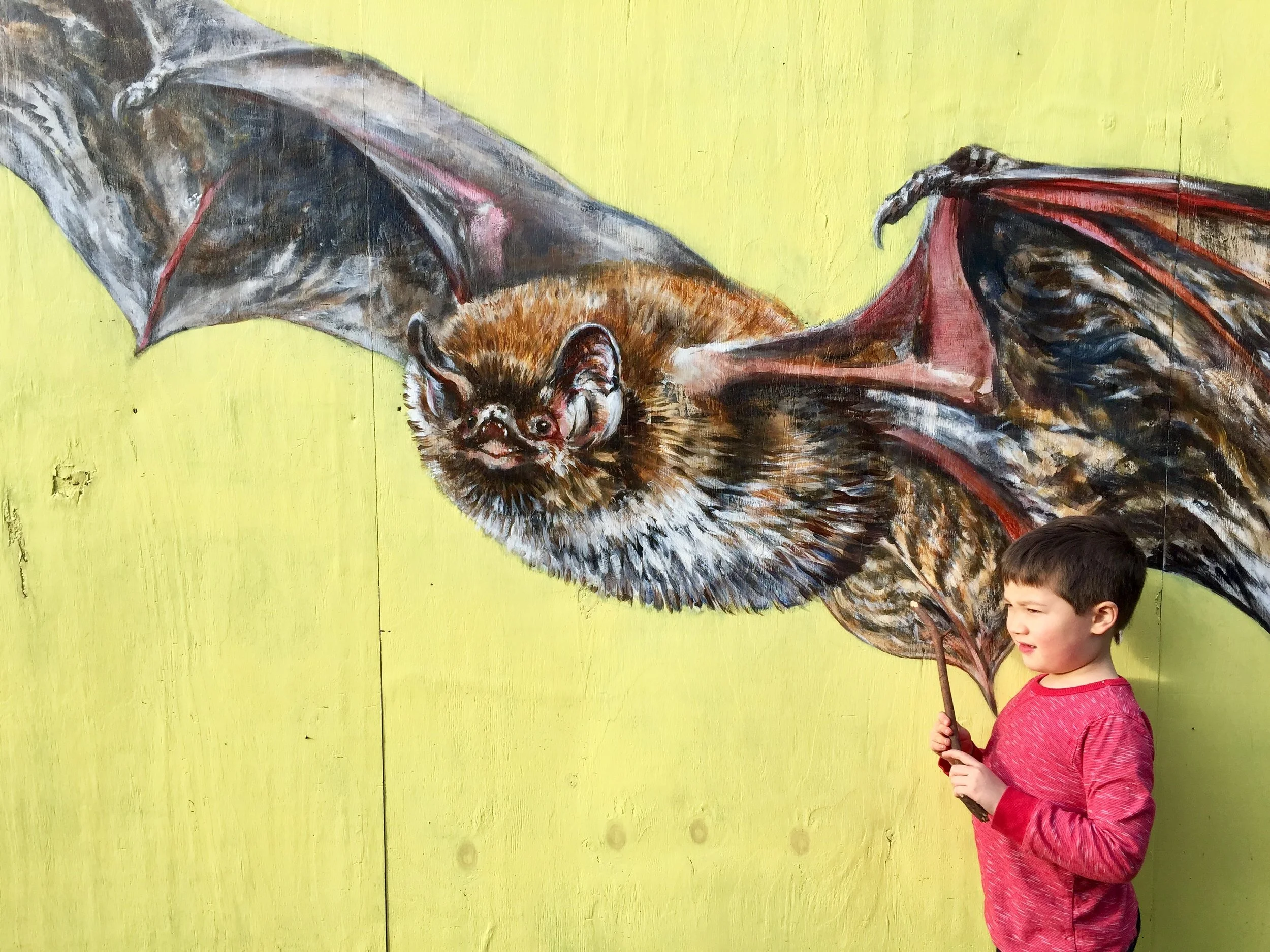camley street bat.jpeg