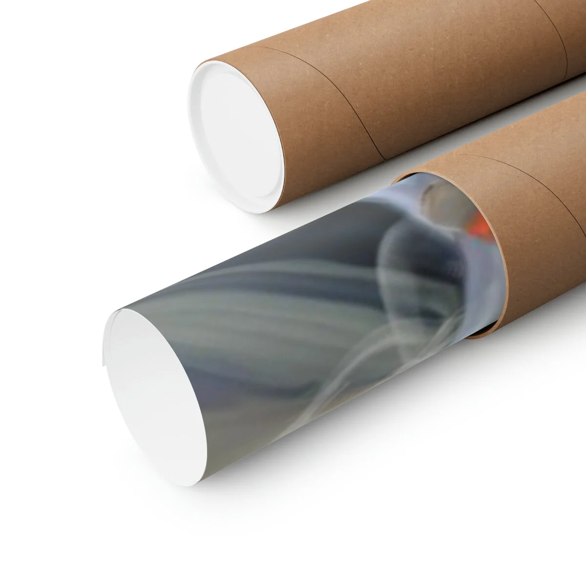 601e37ea5dc573bec968b75acd75b5fd