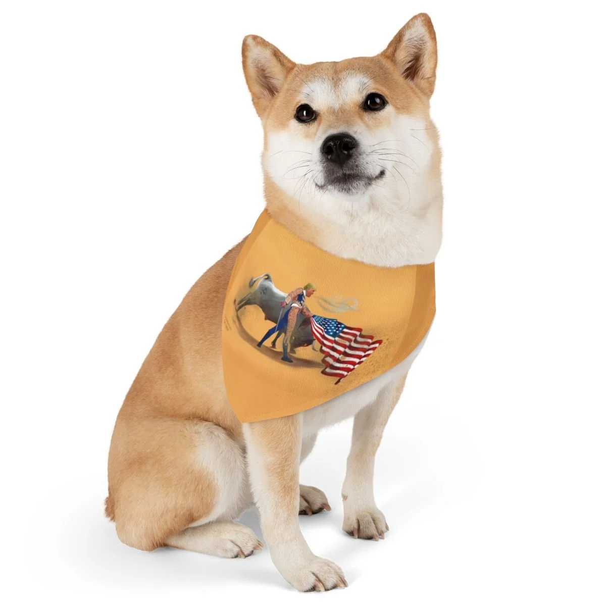 965a23cffdb386b2387a2d7fd2c2b779