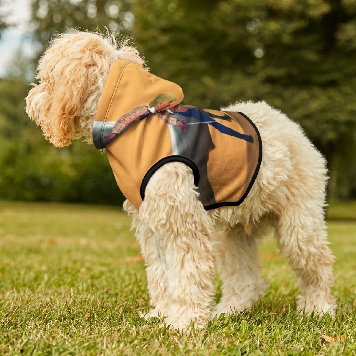 dc1533b17fe689a96f73a3beb63d0ad5