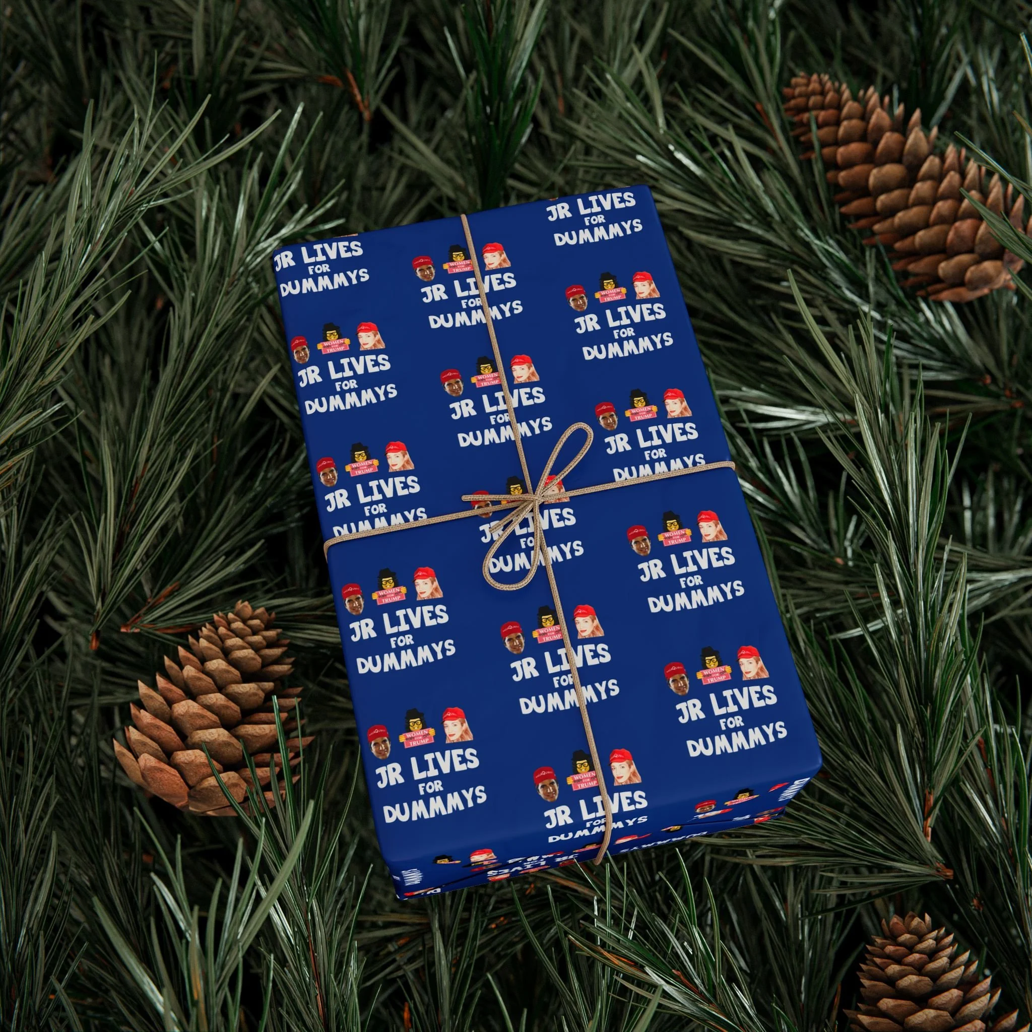 a9d968990db1d48832eaea03f846c1e3