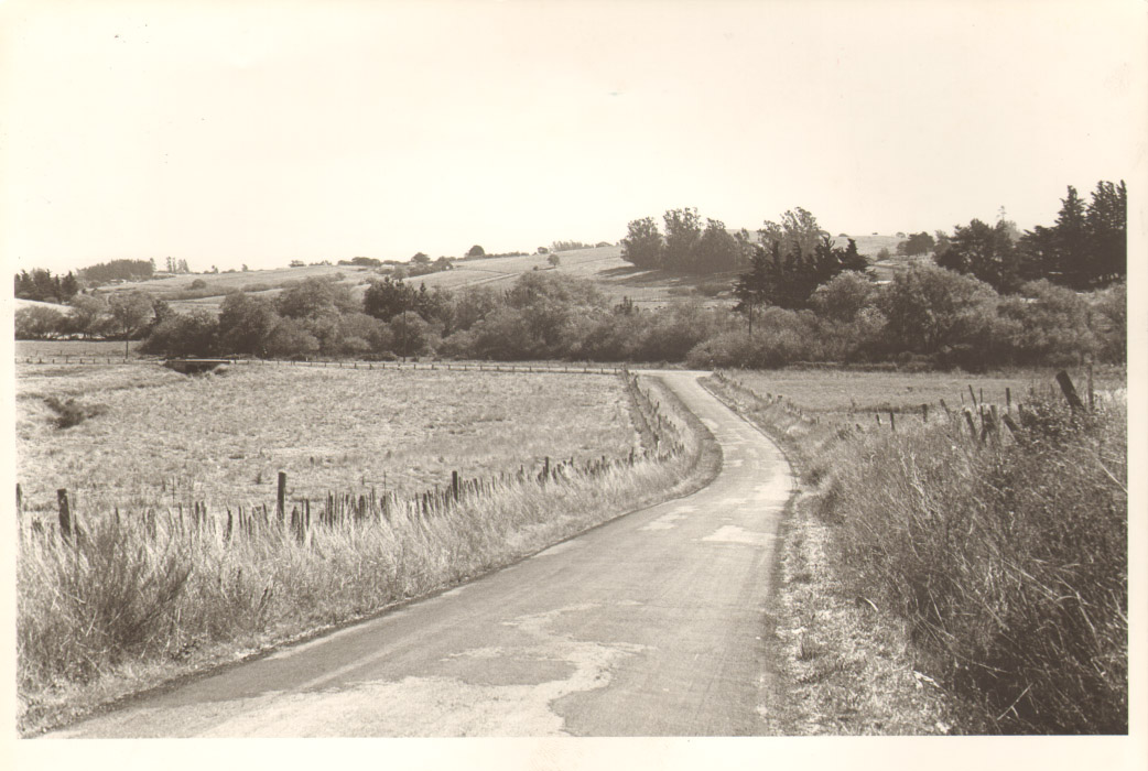 Page 019 - Country Road.jpg