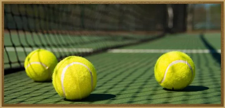 AmenitiesTennis.jpg