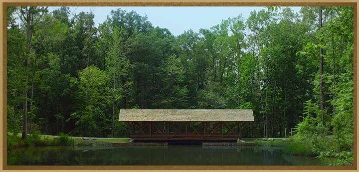 homepage1Bridge.jpg