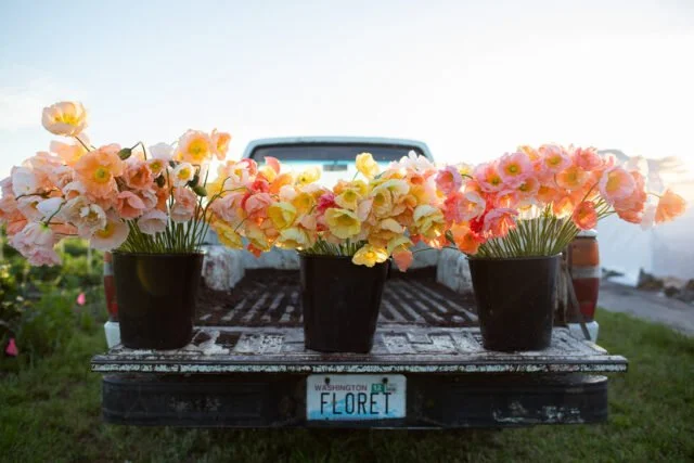 Time To Plant Your Seedlings